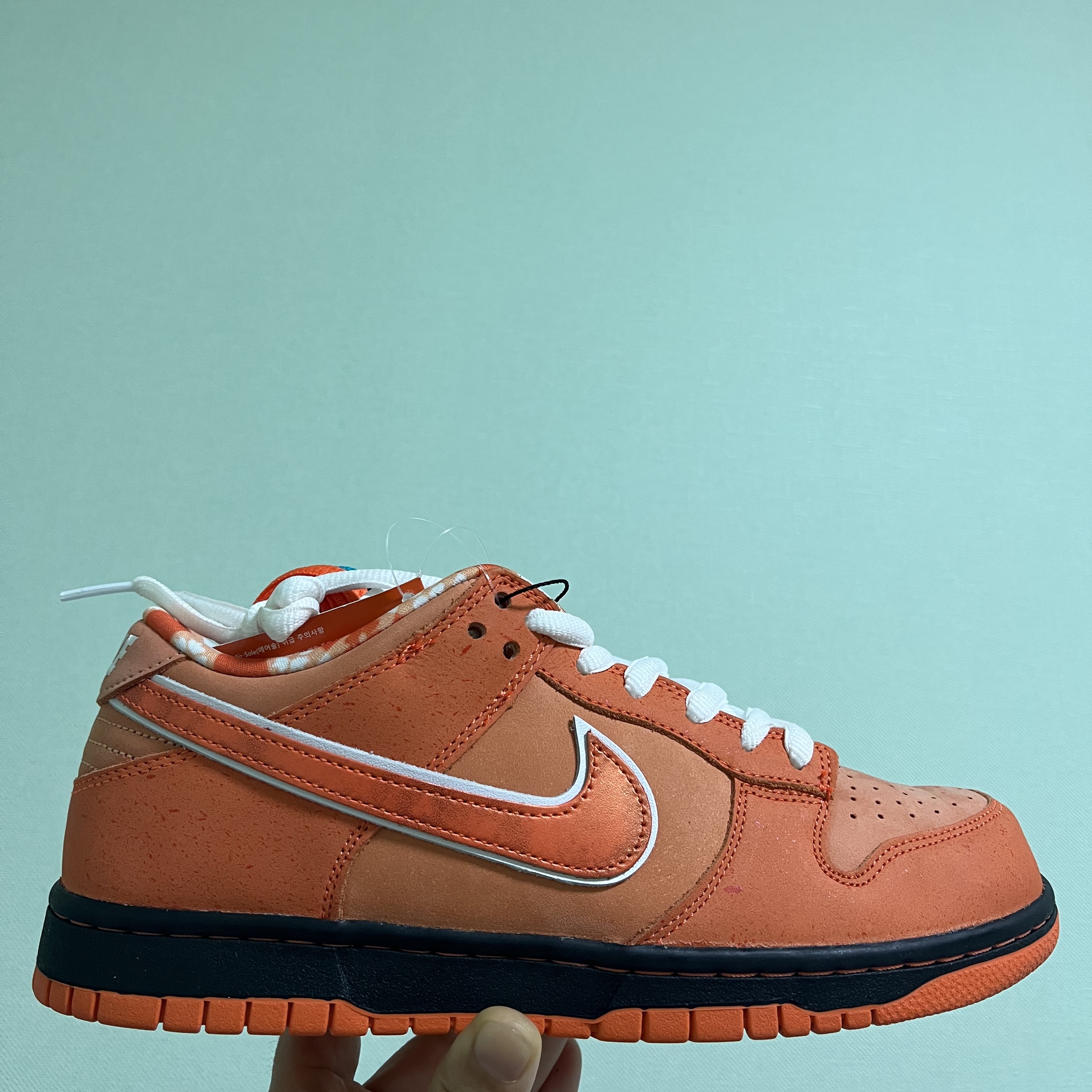 Nike x Concepts SB Dunk Low Orange Lobster (Regular Box), Nike x Concepts SB Dunk Low Orange Lobster (Special Box) 착용 스타일 - 1