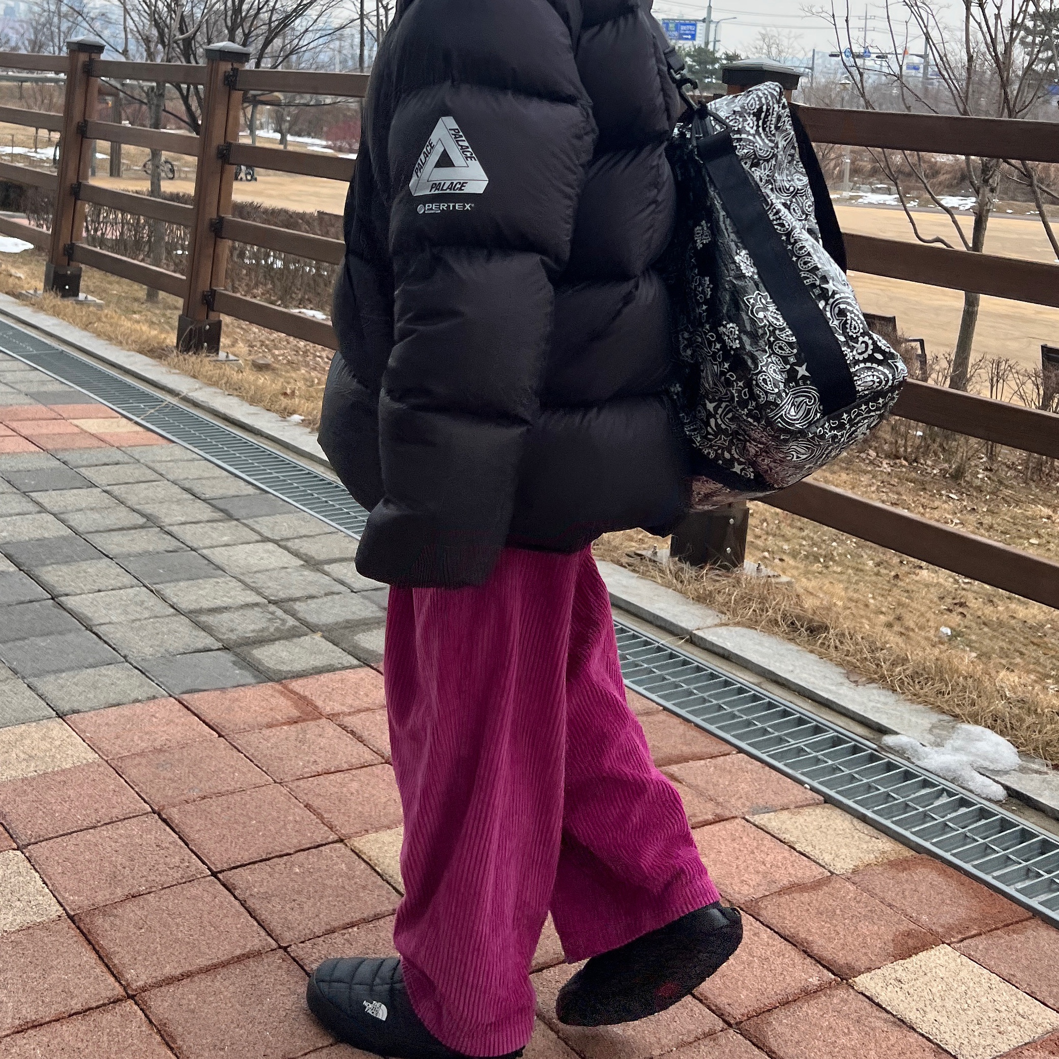 Palace Pertex Frost Balaclava Puffa Black - 22FW, Supreme Bandana Tarp Large Duffle Bag Black - 21SS 착용 스타일
