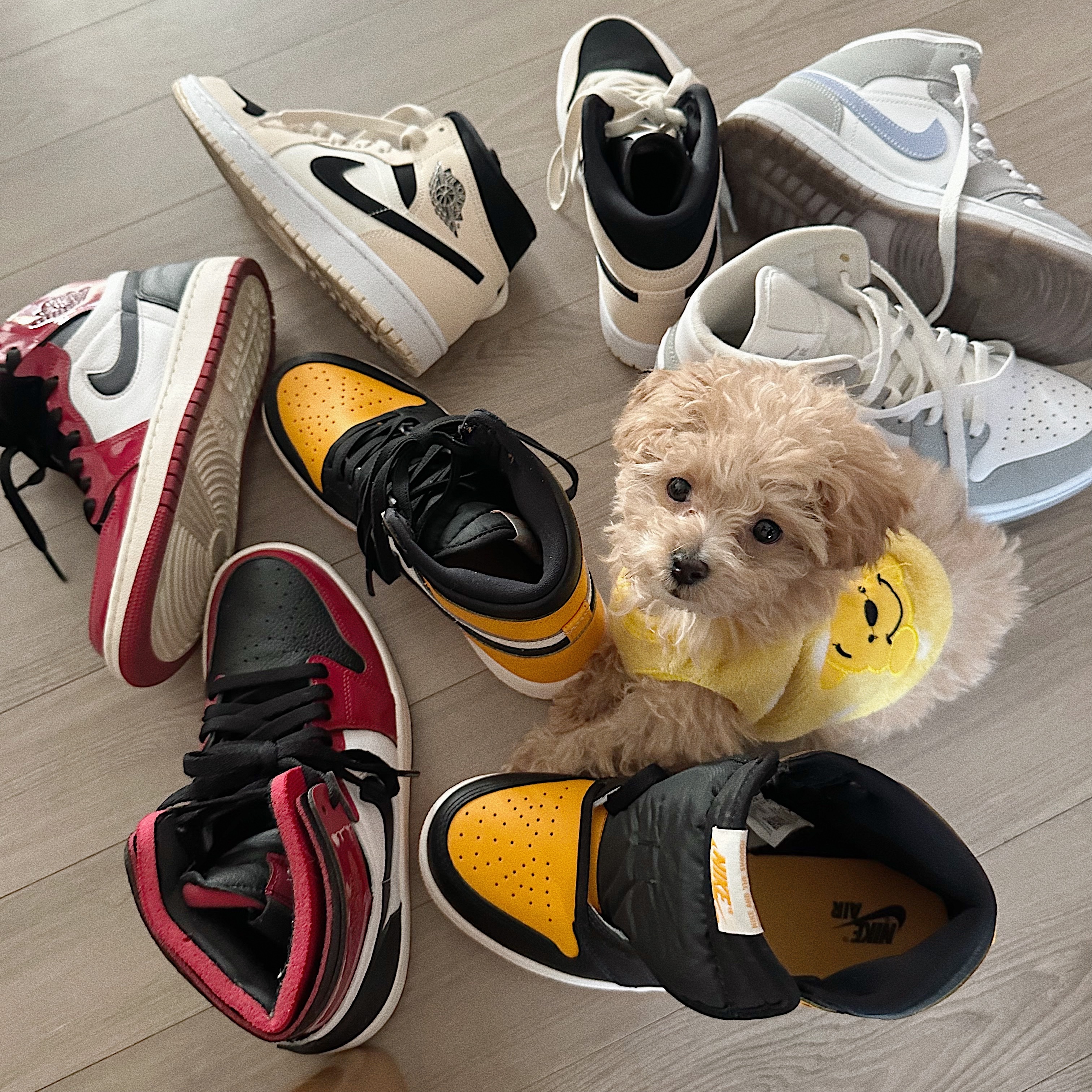 (W) Jordan 1 Zoom Air CMFT Gym Red Black, (GS) Jordan 1 Retro High OG Taxi 착용 스타일 - 1