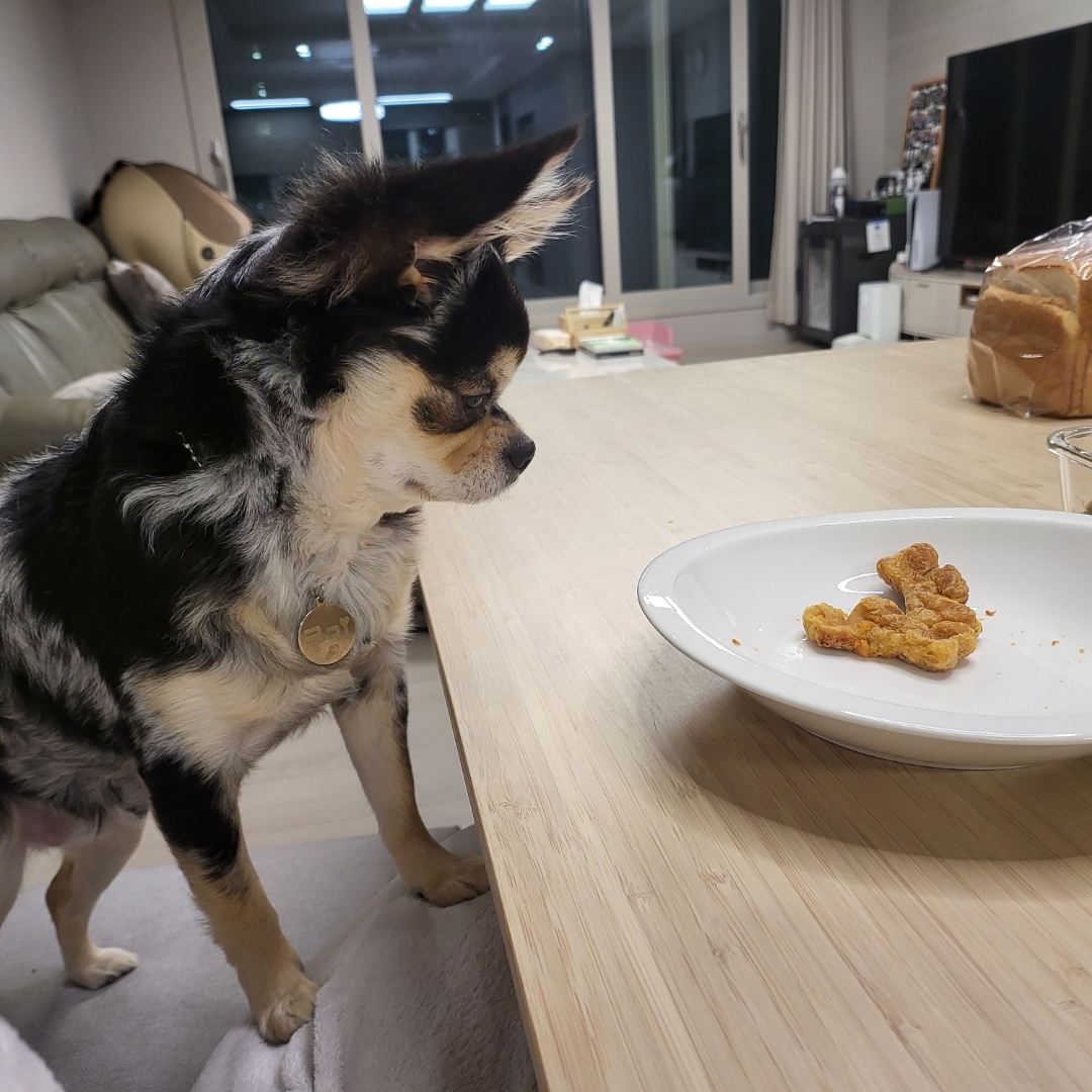강남꿀방망이님의 스타일
