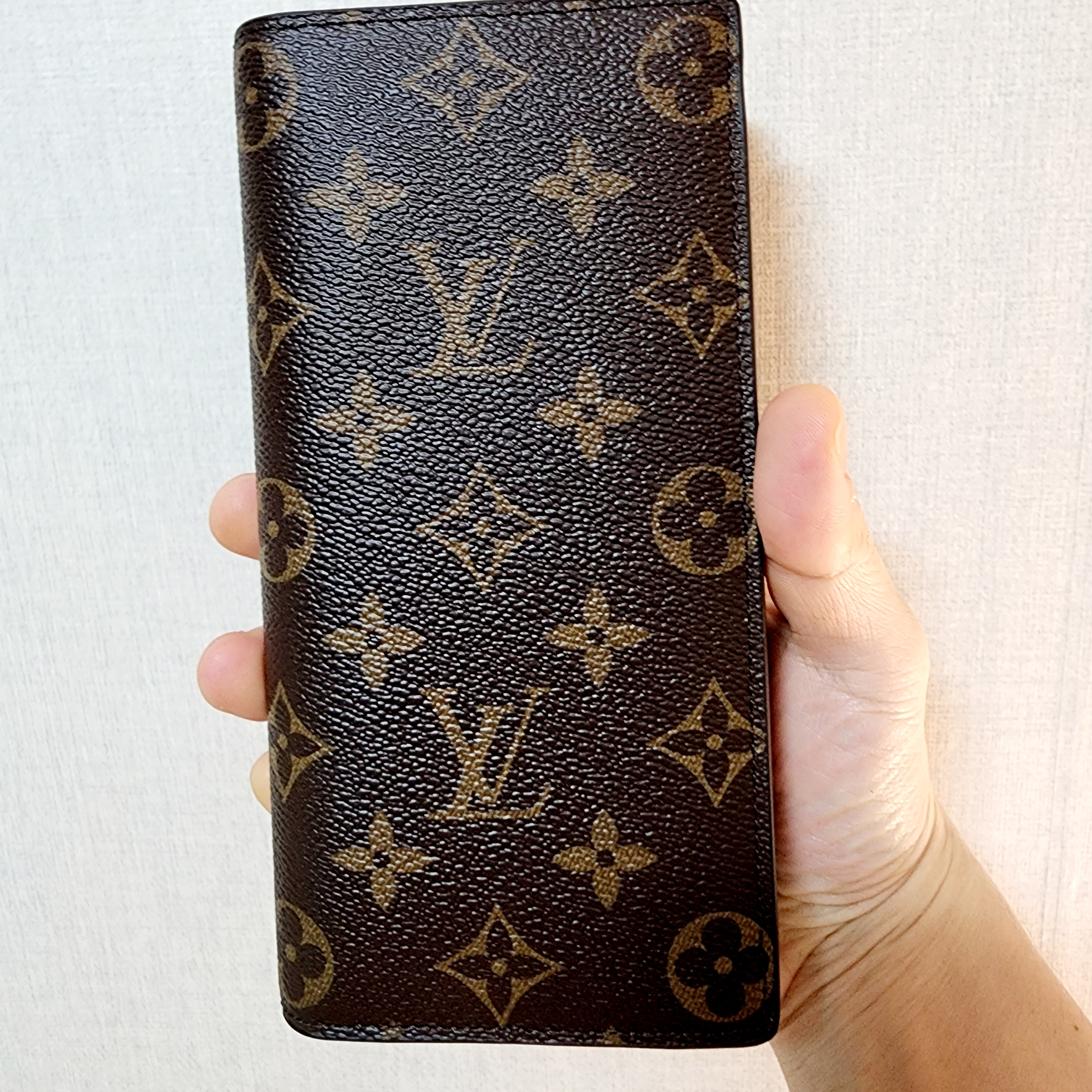 Louis Vuitton Brazza Wallet Monogram 착용 스타일