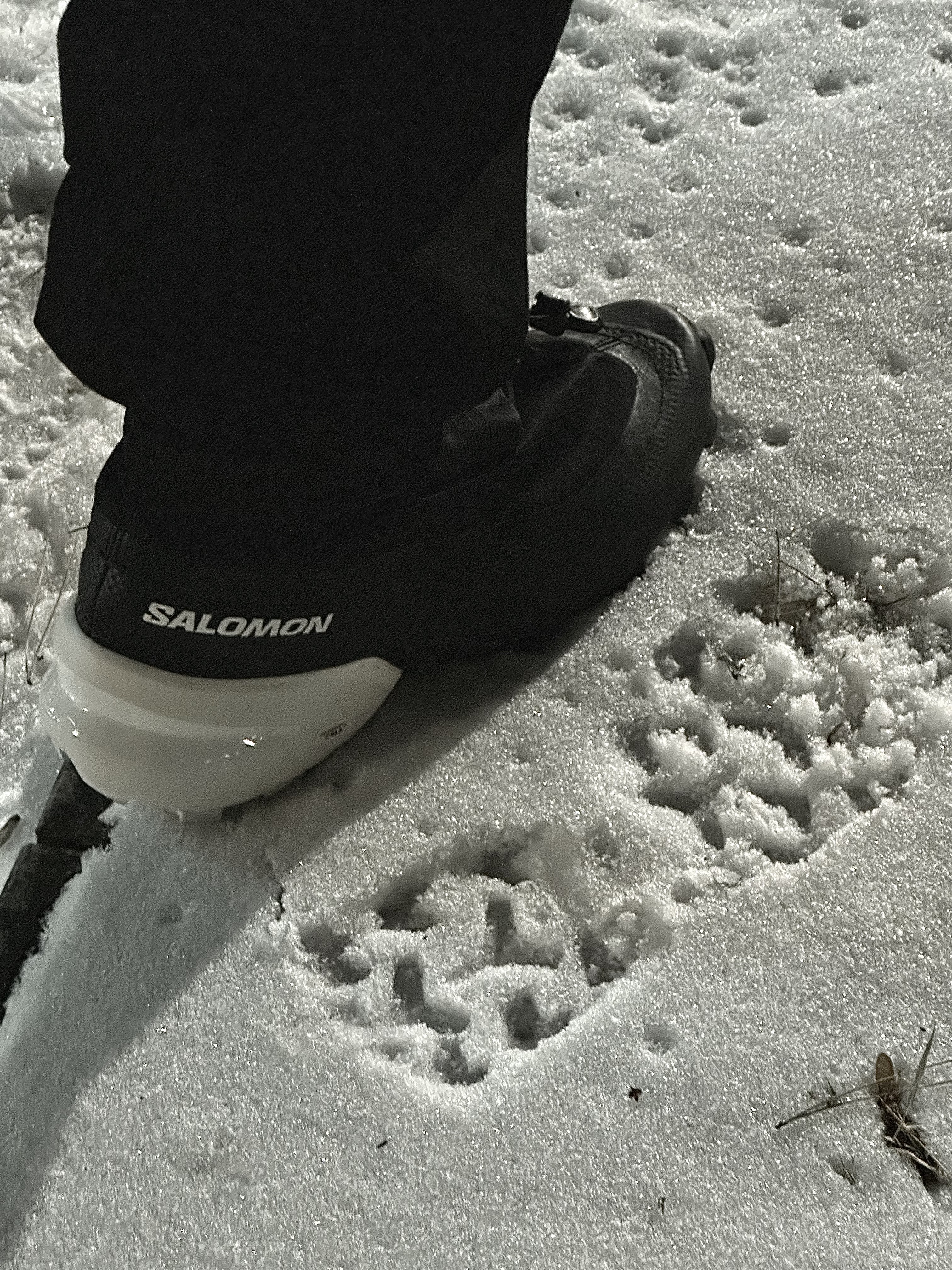 Salomon x MM6 Maison Margiela Cross Low Black 착용 스타일 - 2