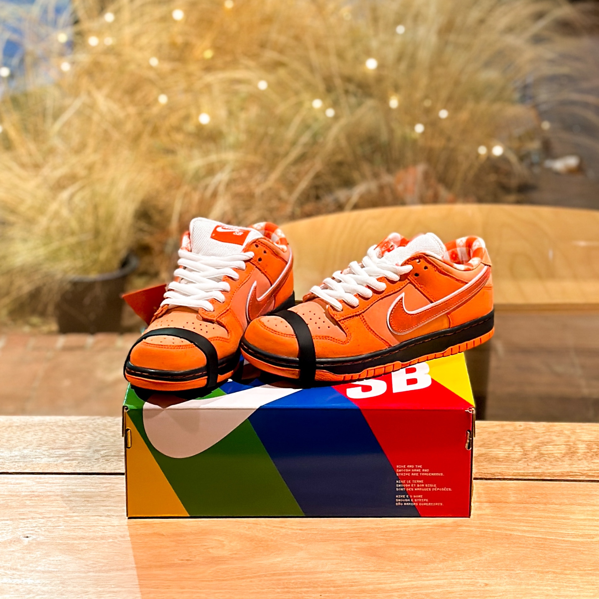 Nike x Concepts SB Dunk Low Orange Lobster (Regular Box) 착용 스타일
