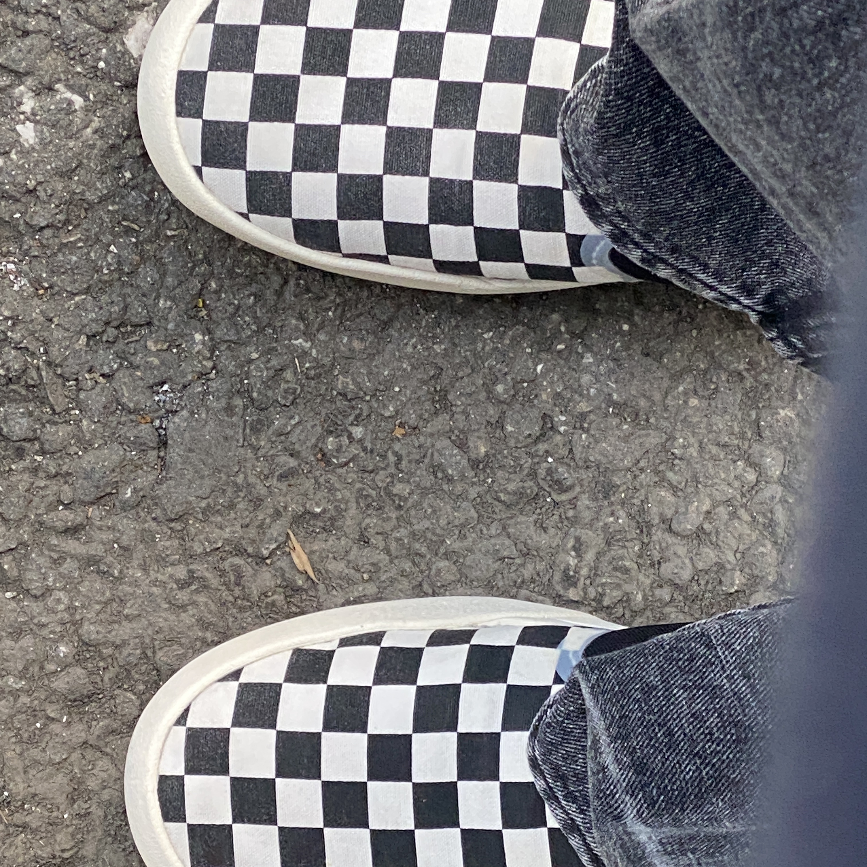 Vans Checkerboard Comfycush One Black 착용 스타일