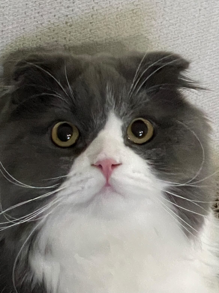 관심 유저 프로필 이미지