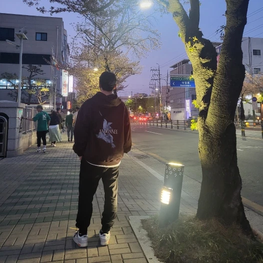 스타일 카드