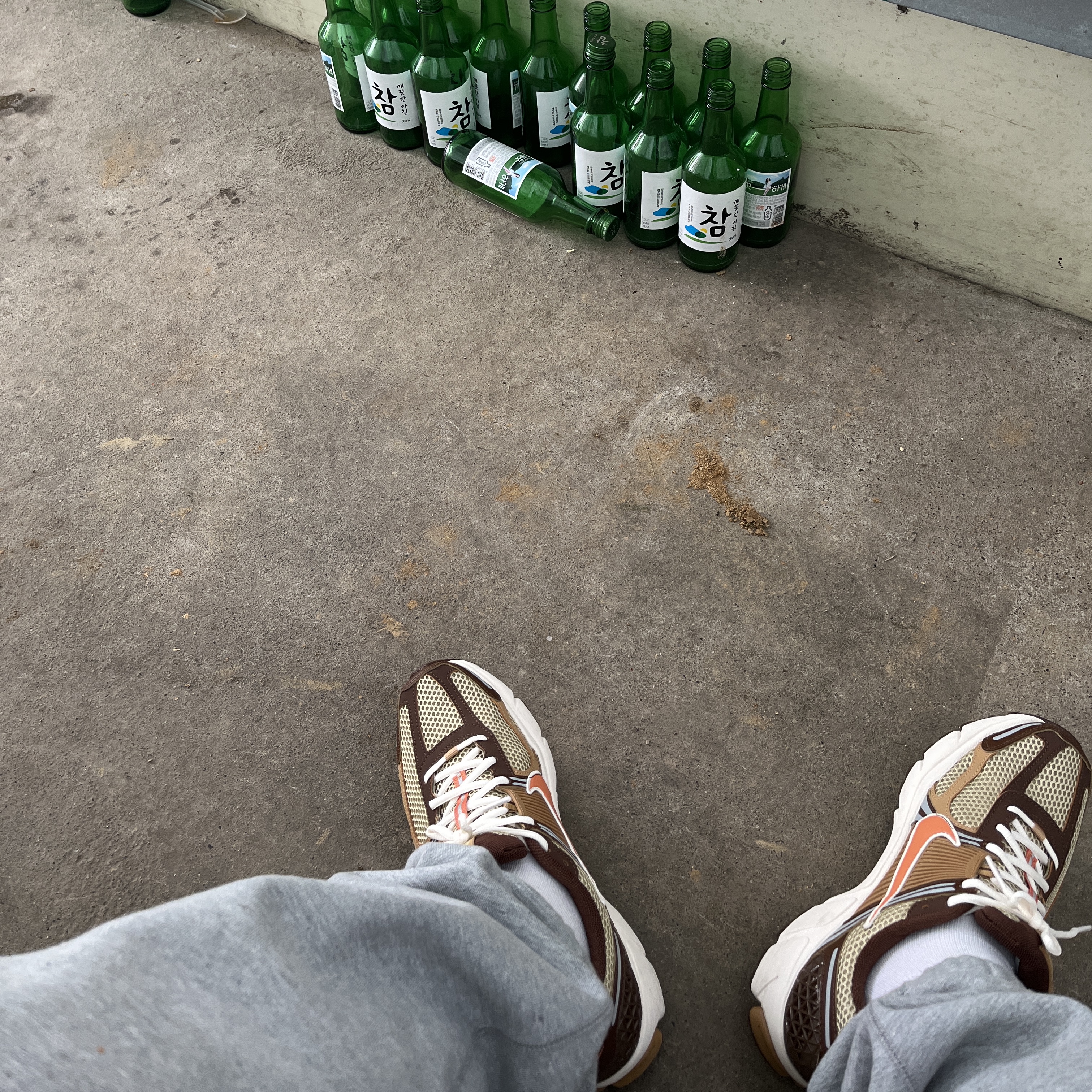 Nike Zoom Vomero 5 Wheat Grass and Cacao Wow, Nike x Stussy NRG Fleece Pants Dark Grey Heather (DO9340-063) 착용 스타일 - 1