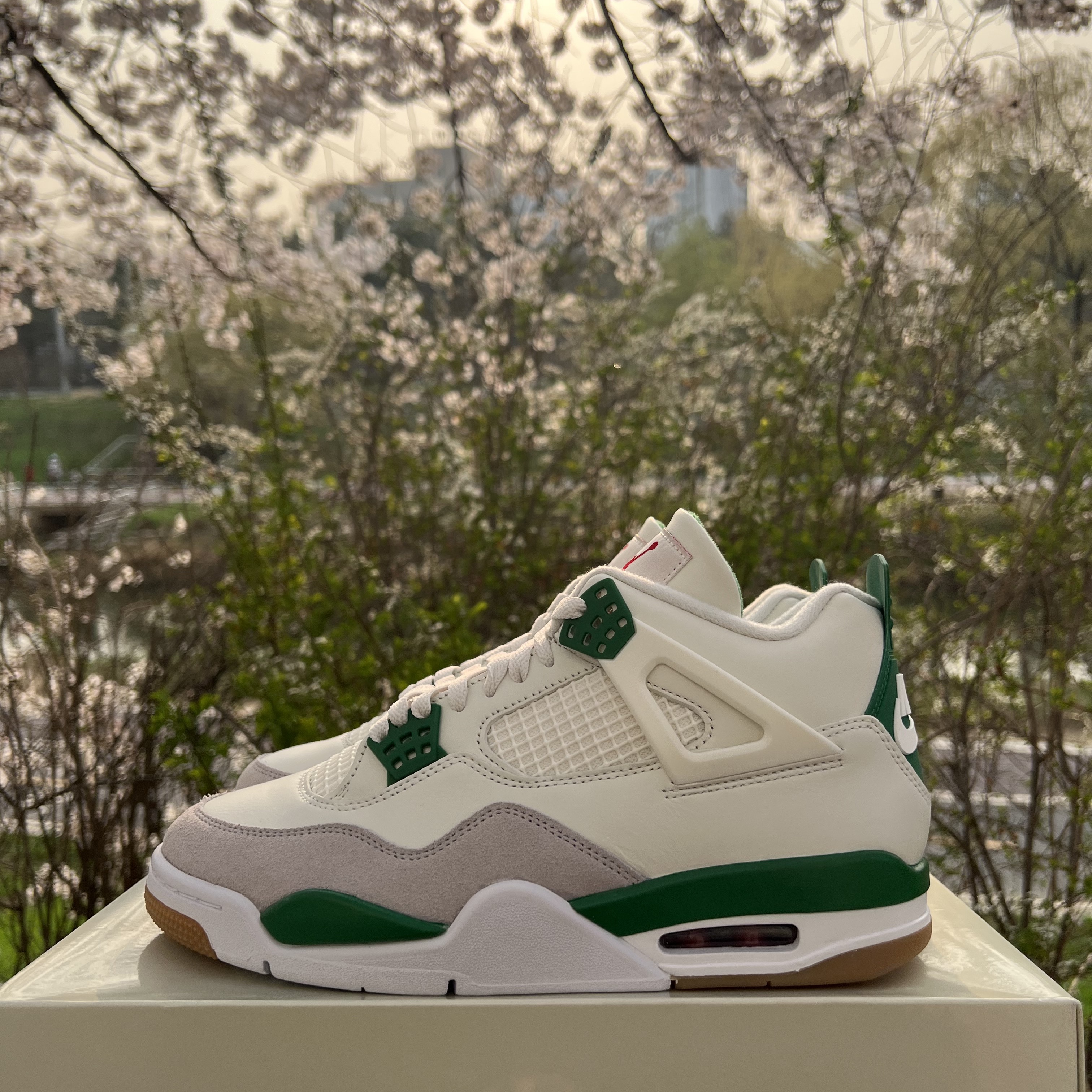 Jordan 4 x Nike SB Retro SP Pine Green 착용 스타일 - 2