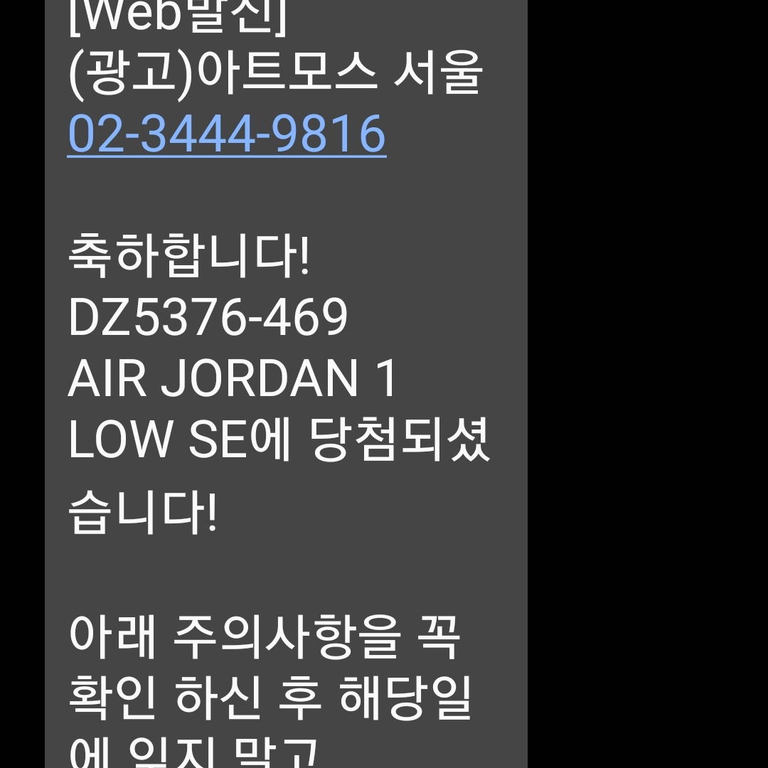 Jordan 1 Low SE Tokyo 96 착용 스타일 - 2
