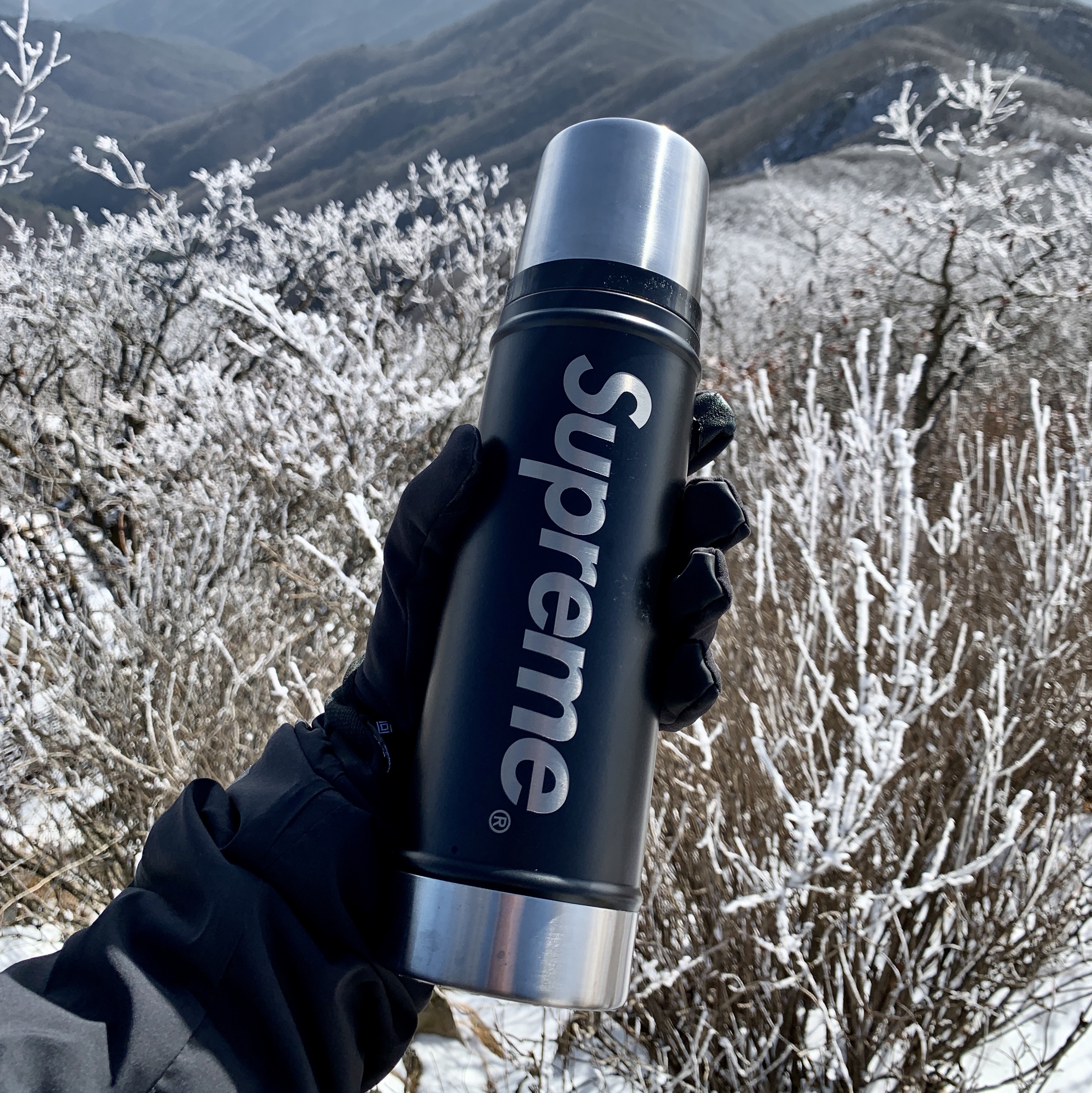 Stanley x Supreme 20 oz. Vacuum Insulated Bottle Black - 19FW 착용 스타일