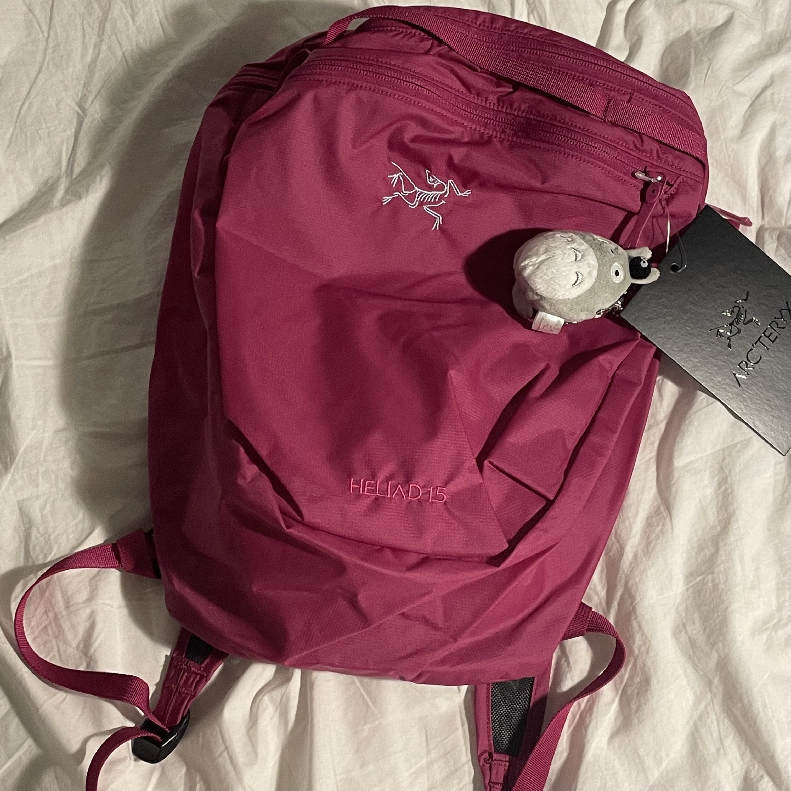 Arc'teryx Heliad 15 Backpack Synth 착용 스타일 - 1