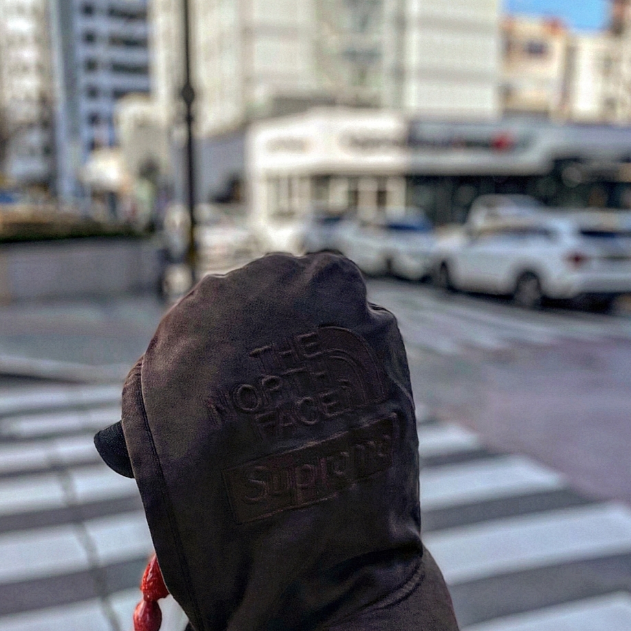 Supreme x The North Face Pigment Printed Hooded Sweatshirt Brown - 22FW 착용 스타일