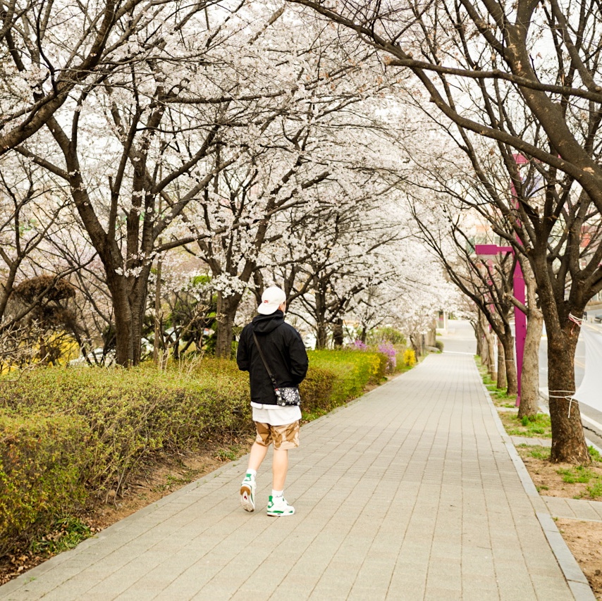 Jordan 4 x Nike SB Retro SP Pine Green, Supreme Full Zip Facemask Jacket Black - 22SS 착용 스타일