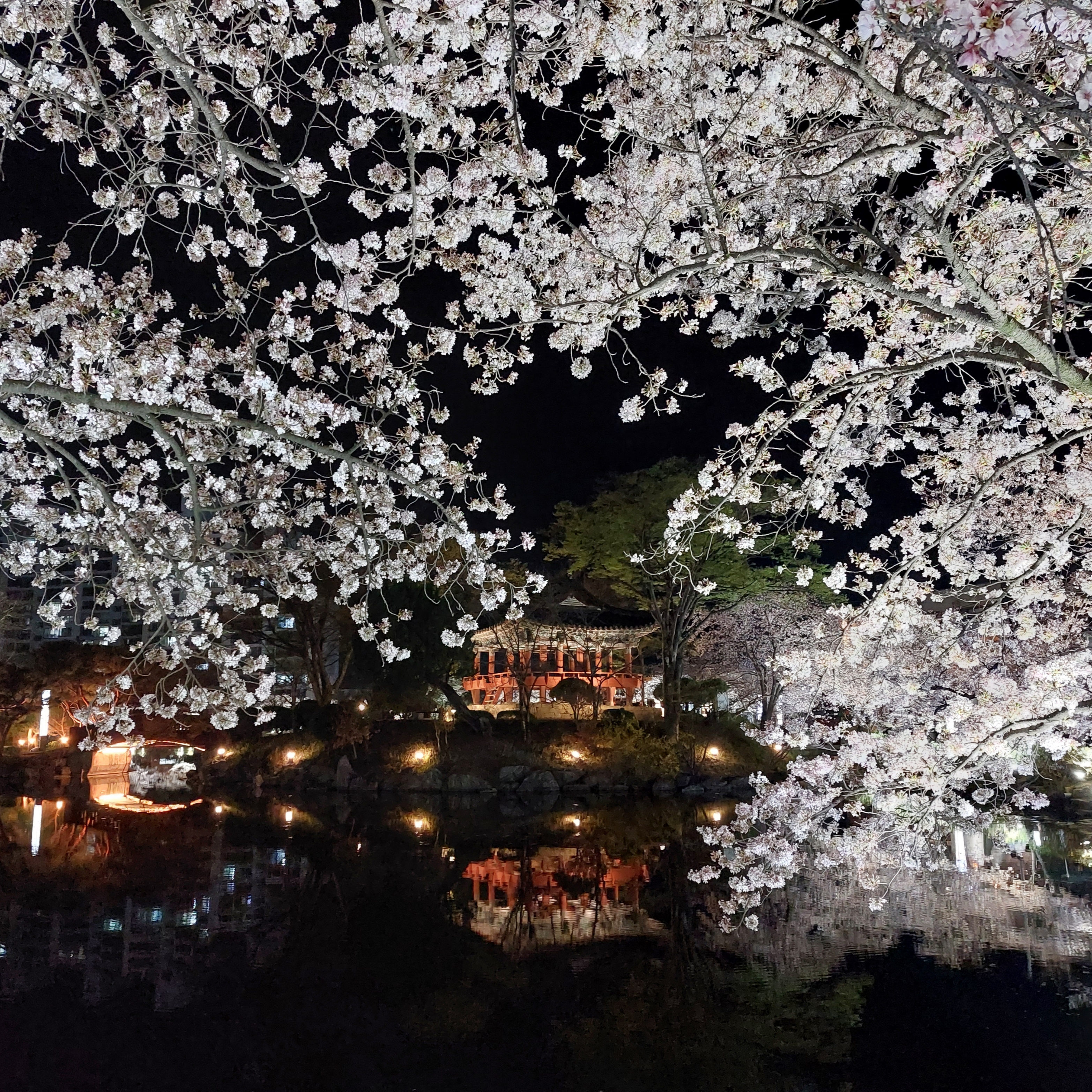 허니패밀리님의 스타일 - 2