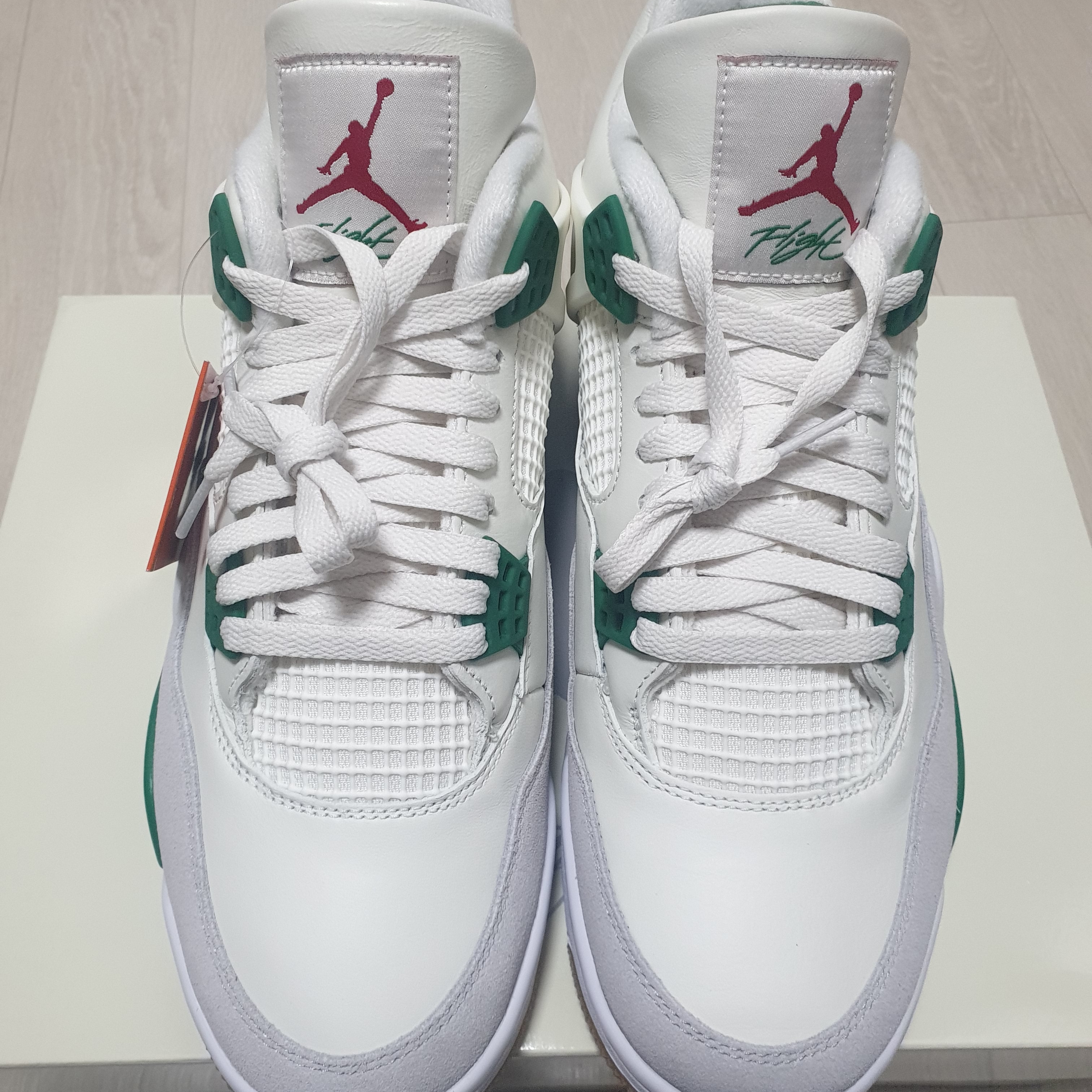 Jordan 4 x Nike SB Retro SP Pine Green 착용 스타일 - 1