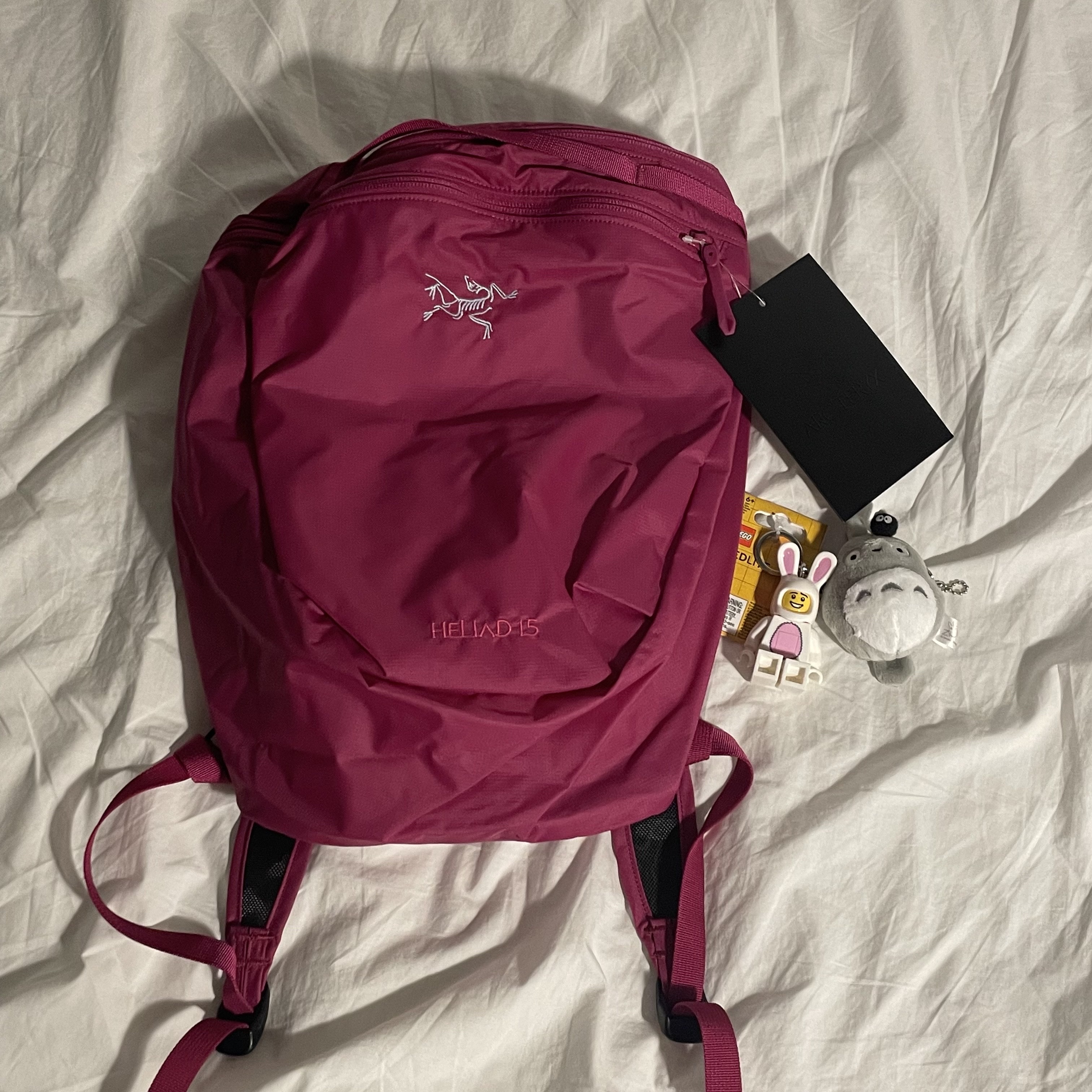 Arc'teryx Heliad 15 Backpack Synth 착용 스타일 - 2