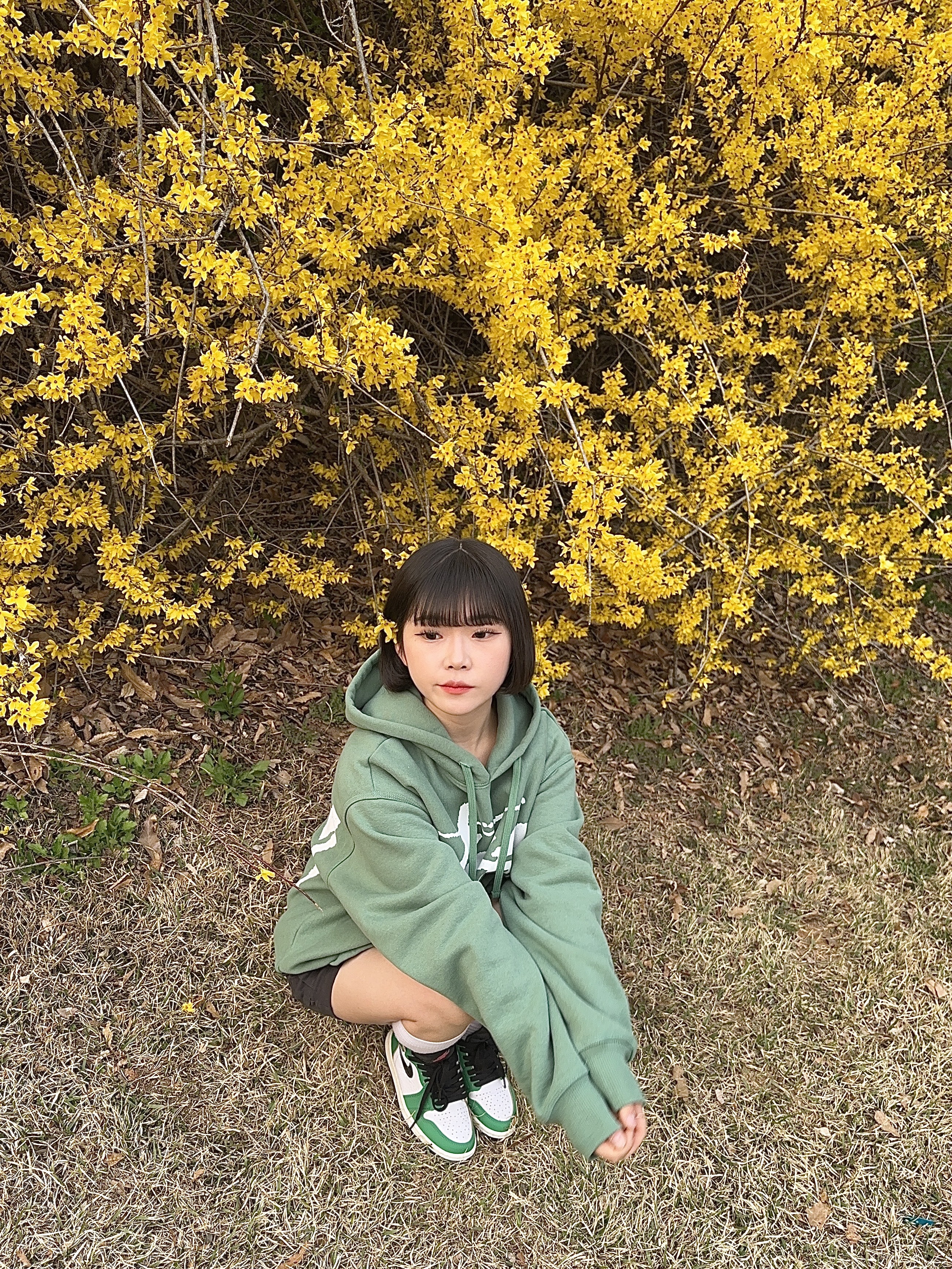 (W) Jordan 1 Retro High OG Lucky Green, Stussy Big Stock Hoodie Green 착용 스타일 - 4