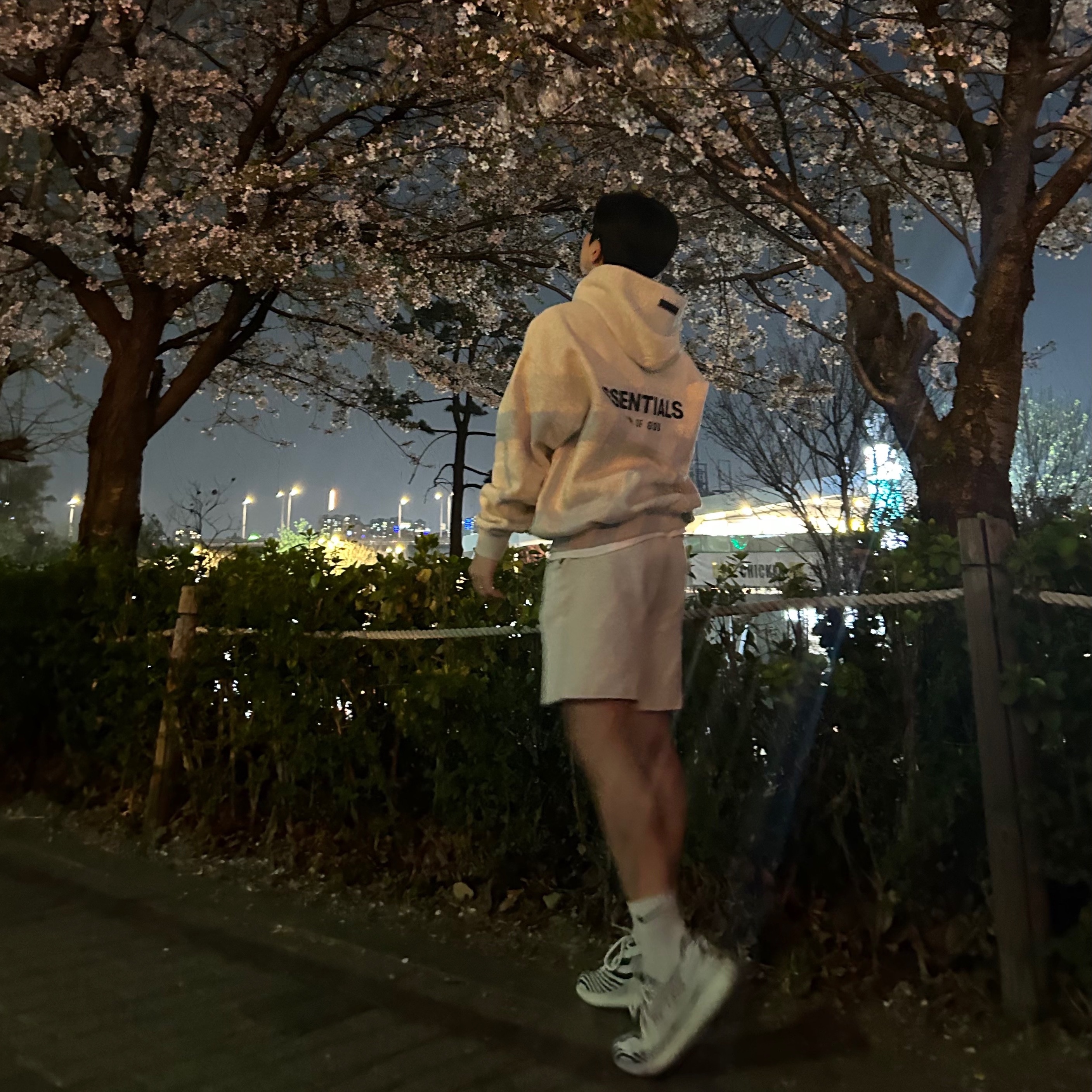 Essentials The Core Collection Hoodie Light Oatmeal, Adidas Yeezy Boost 350 V2 Zebra 2017/2019/2020 착용 스타일 - 1