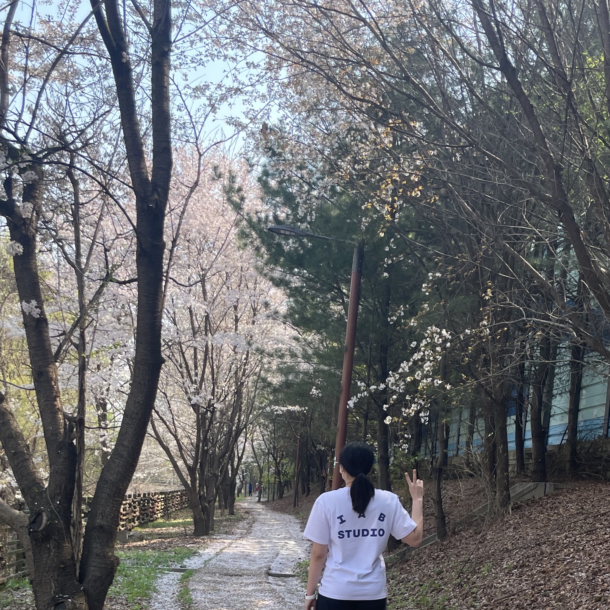 IAB Studio T-Shirt White Navy - 22FW 착용 스타일