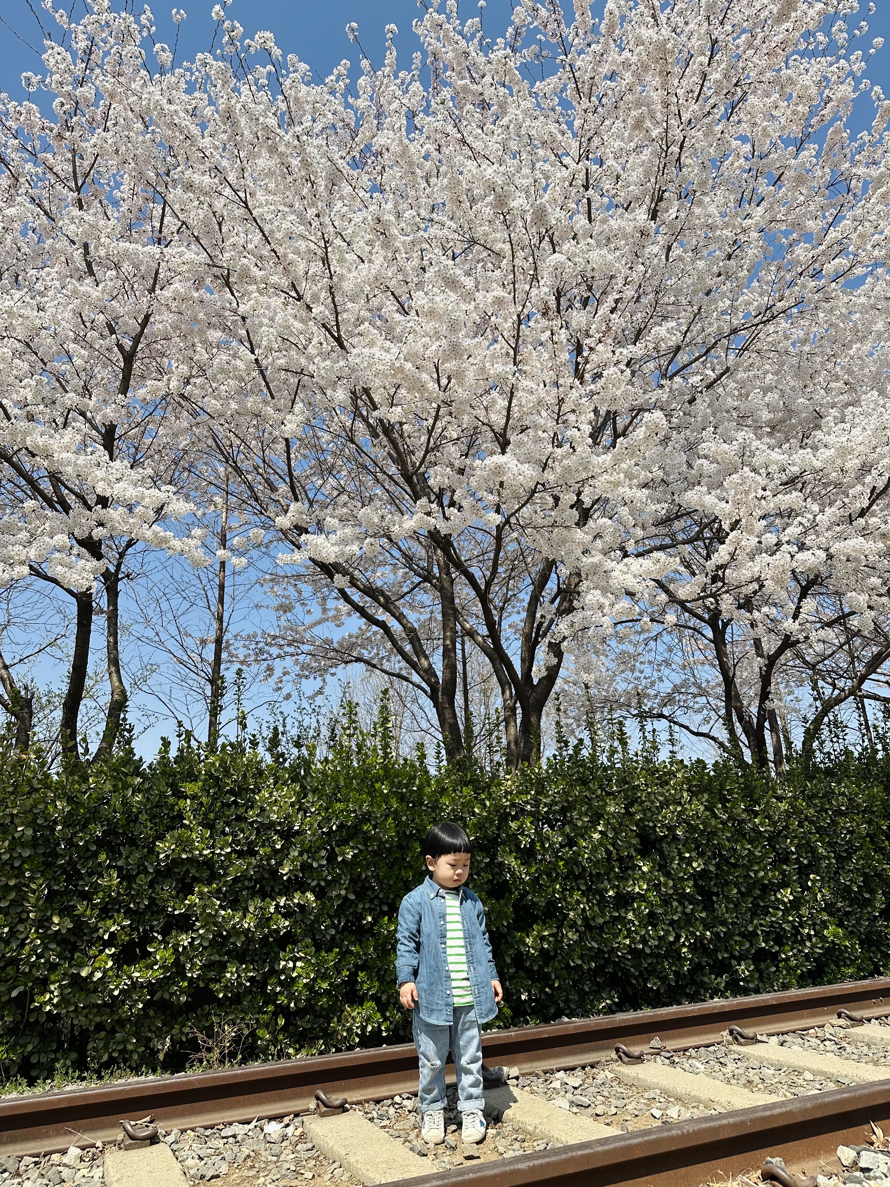 (Kids) Golden Goose May Star Print White Blue Heel Tab Sneakers, Nike Heritage 86 Futura Washed Cap Black White 착용 스타일 - 4