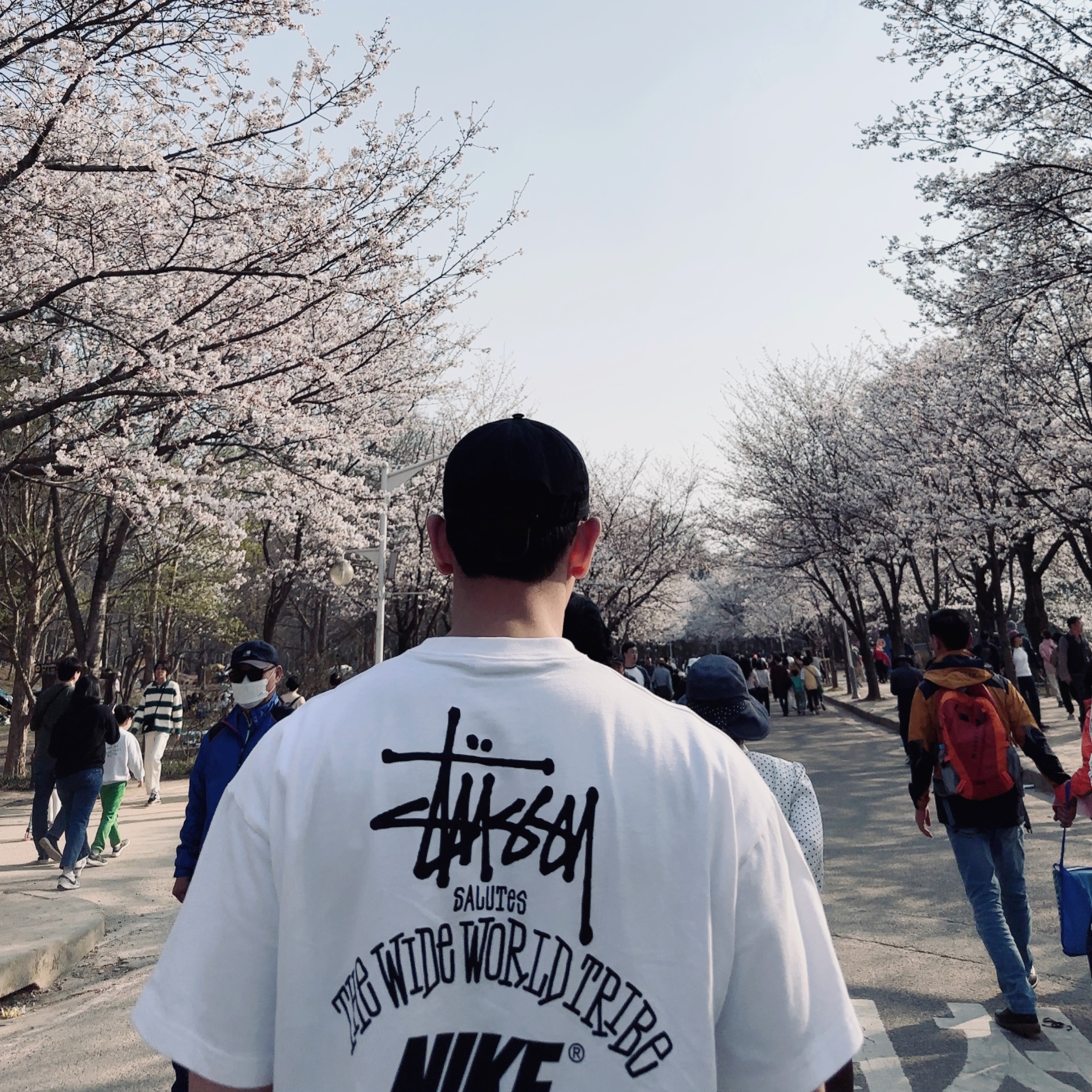Nike x Stussy T-Shirt White (DV1774-100), Stone Island 99576 Nylon Metal 6-Panel Cap Black 착용 스타일