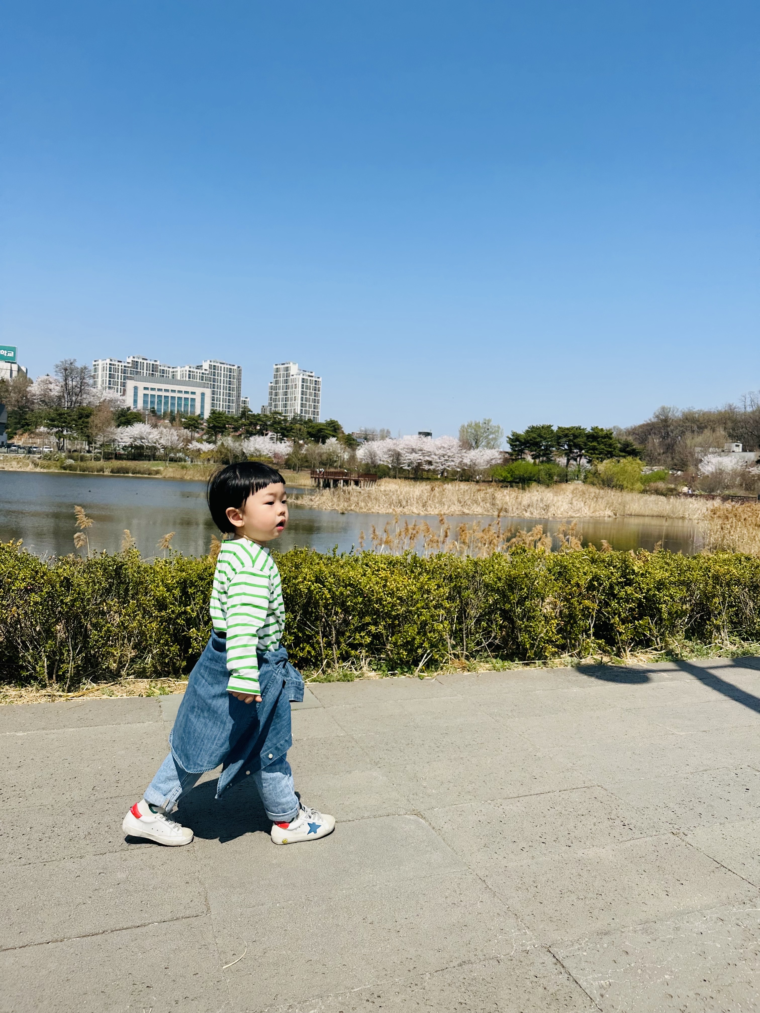 (Kids) Golden Goose May Star Print White Blue Heel Tab Sneakers, Nike Heritage 86 Futura Washed Cap Black White 착용 스타일 - 2
