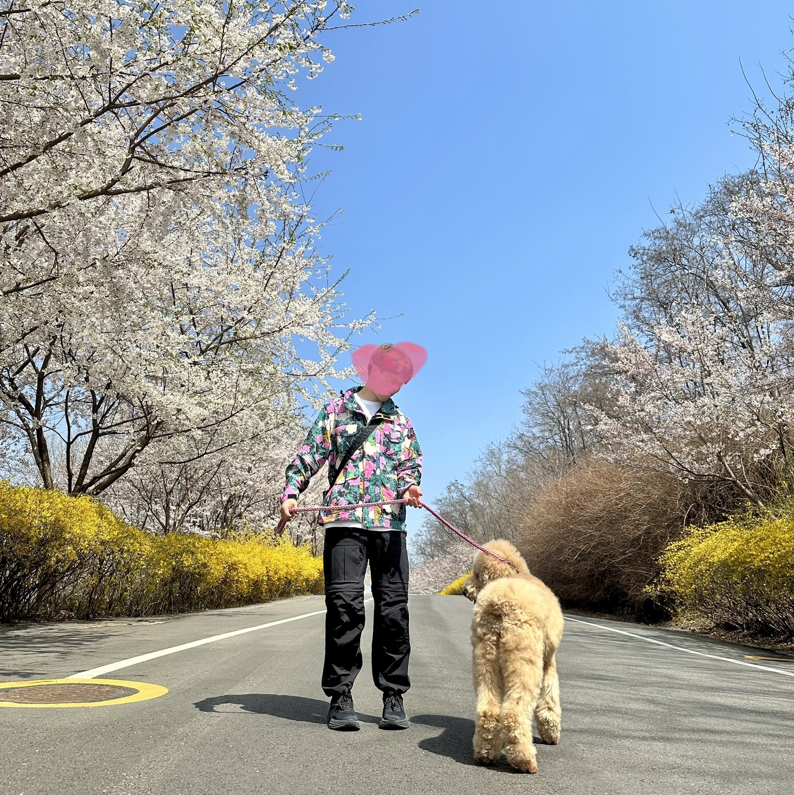 Nike ACG Smith Summit Cargo Pants Black Summit White - Asia, Supreme x The North Face Trekking Convertible Jacket Flowers - 22SS 착용 스타일 - 3