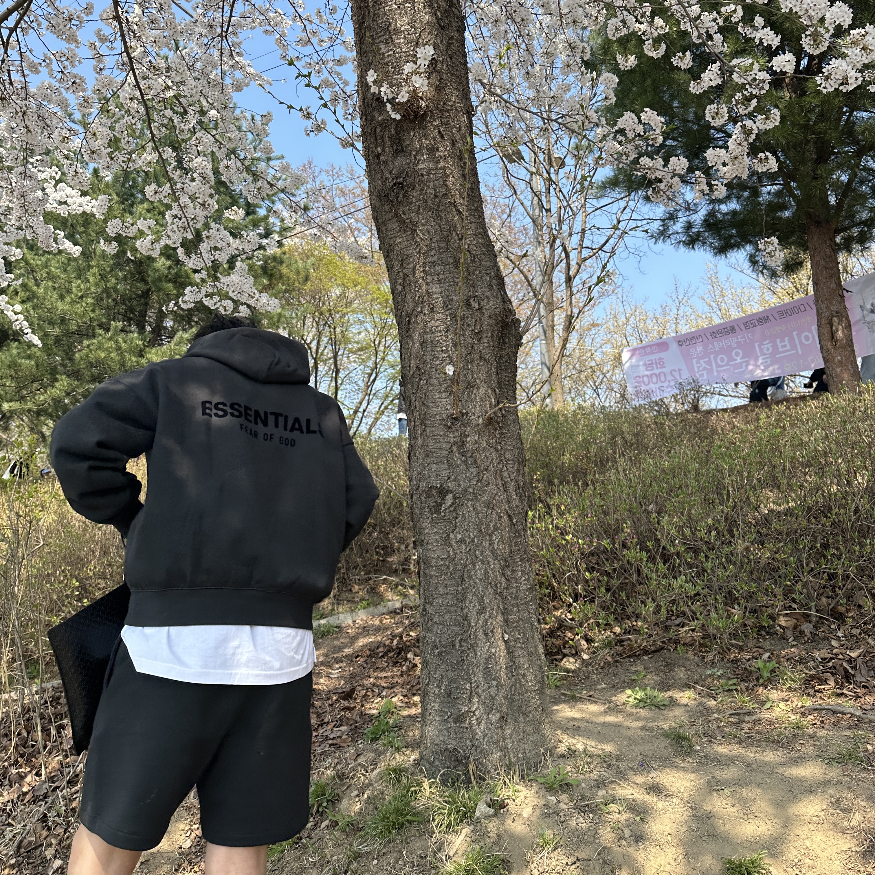 Essentials The Core Collection Hoodie Stretch Limo, Essentials The Core Collection Sweatshorts Stretch Limo 착용 스타일