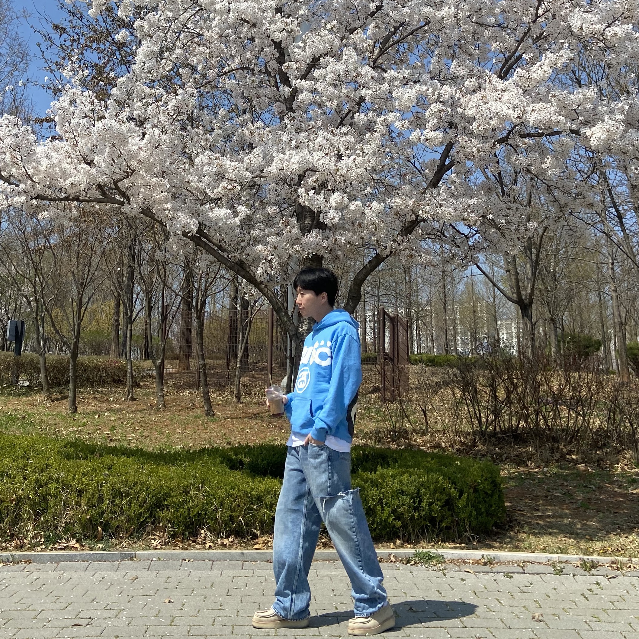 Stussy x Cactus Plant Flea Market 8 Ball Pigment Dyed Hoodie Blue 착용 스타일 - 1