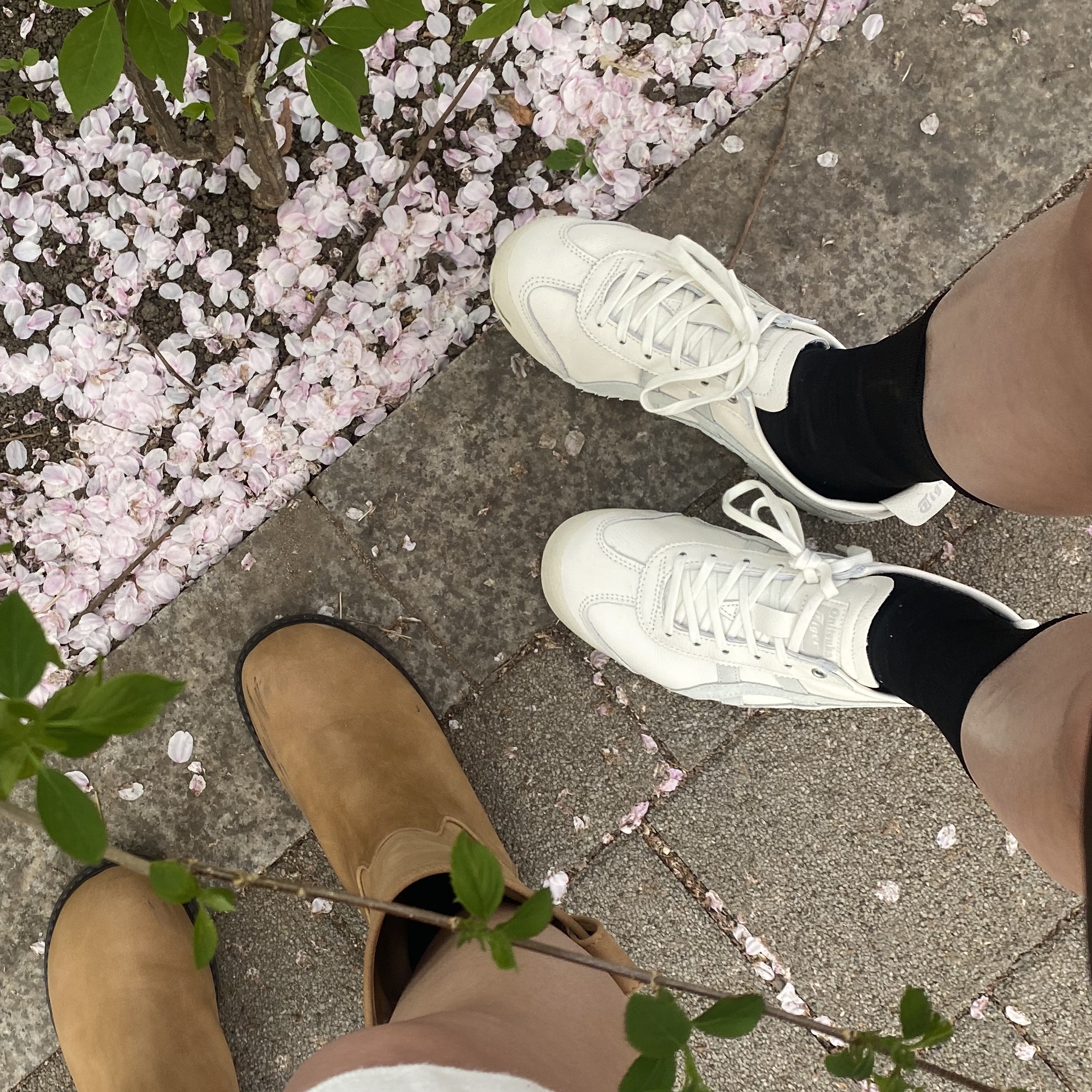 Onitsuka Tiger Mexico 66 White Light Sage 착용 스타일 - 2