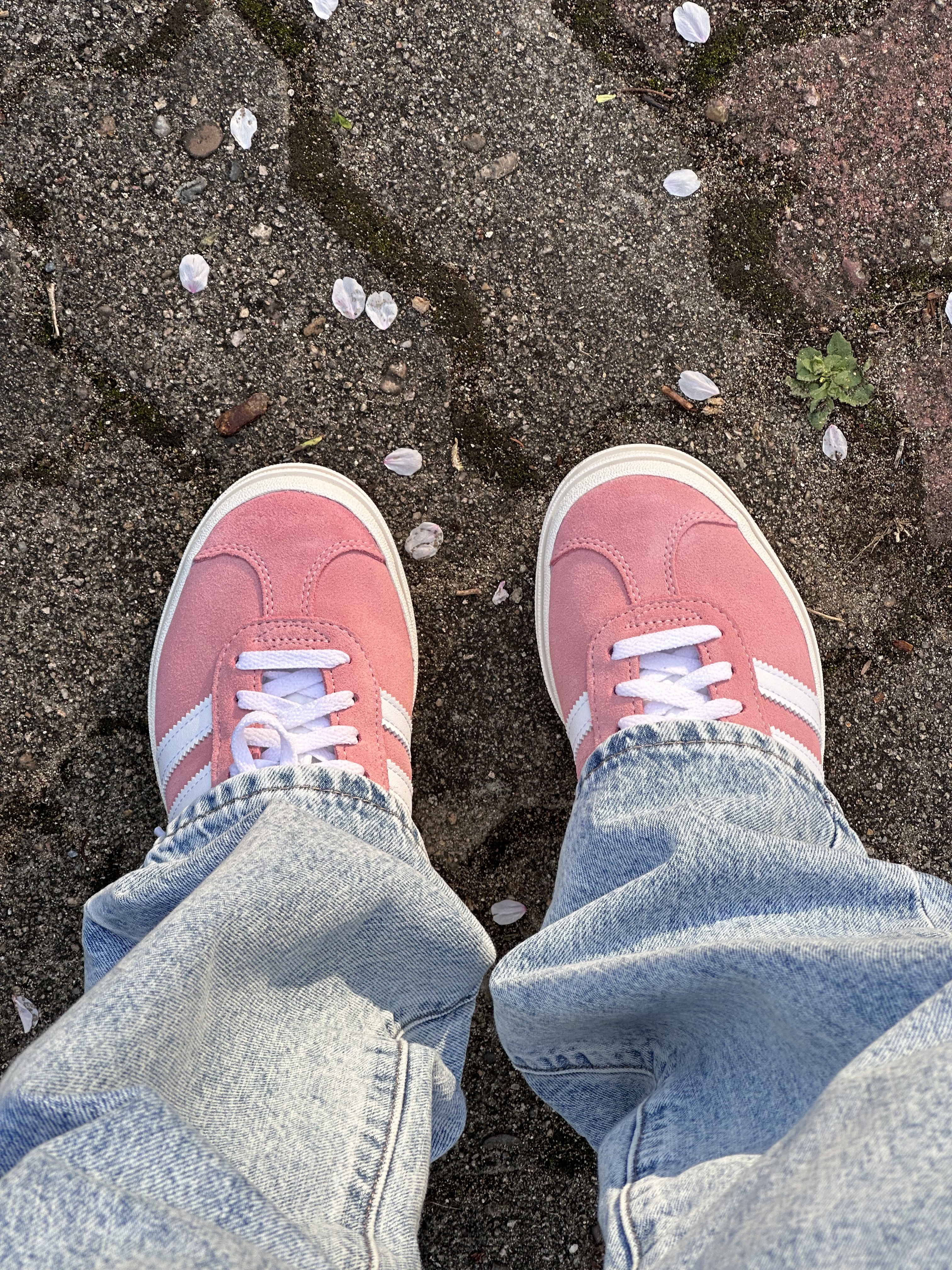 (W) Adidas Gazelle Bold Super Pop 착용 스타일