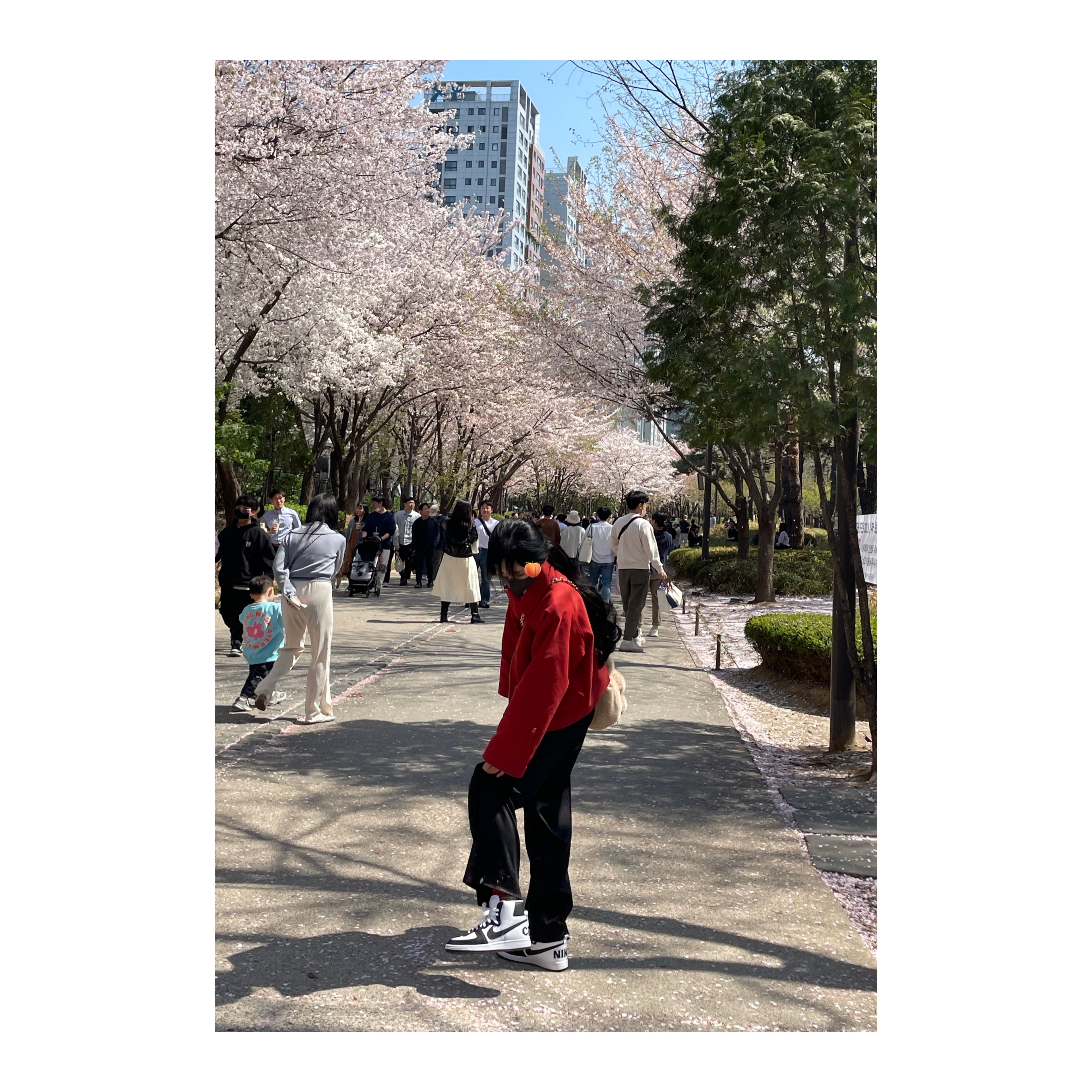 Nike x Comme des Garcons Homme Plus Terminator High Black, Nike x Comme des Garcons Homme Plus Terminator High Red 착용 스타일 - 5