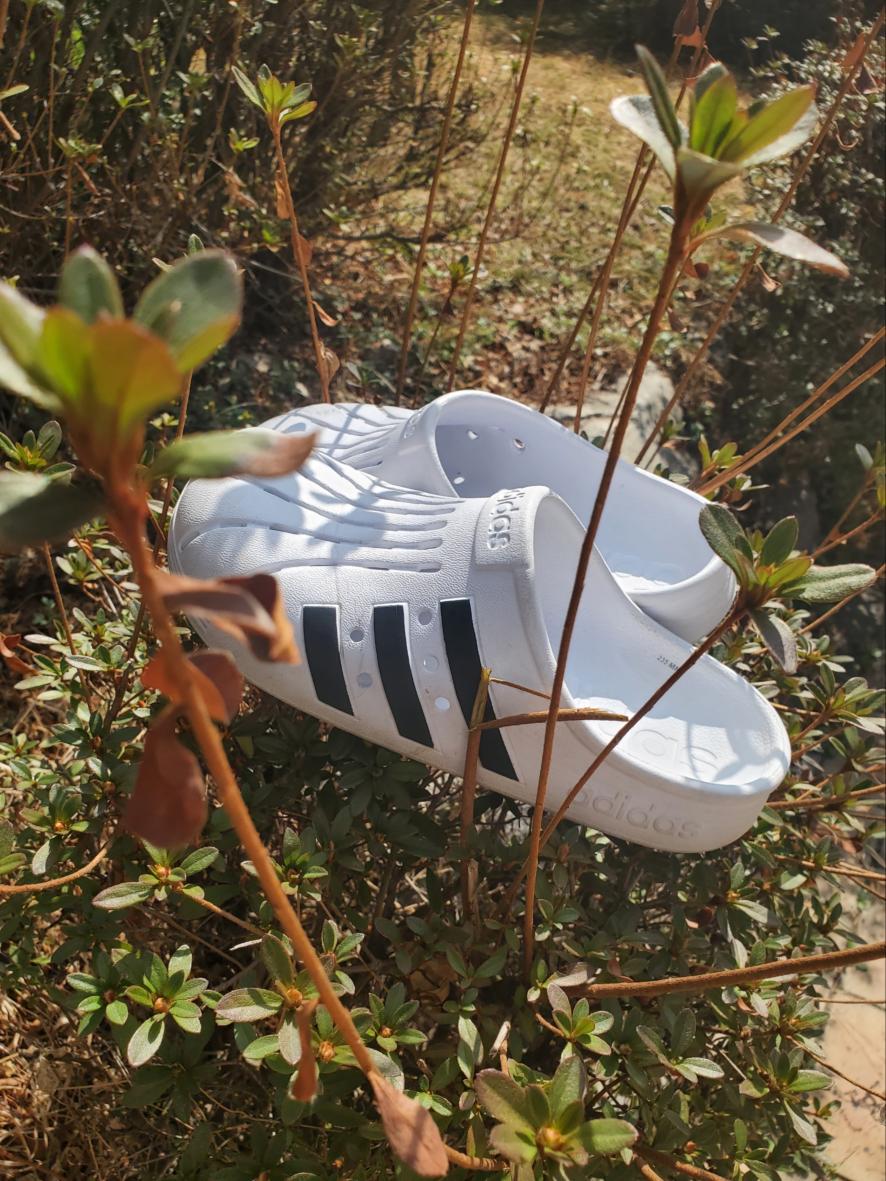 Adidas Adilette Clog White Black 착용 스타일