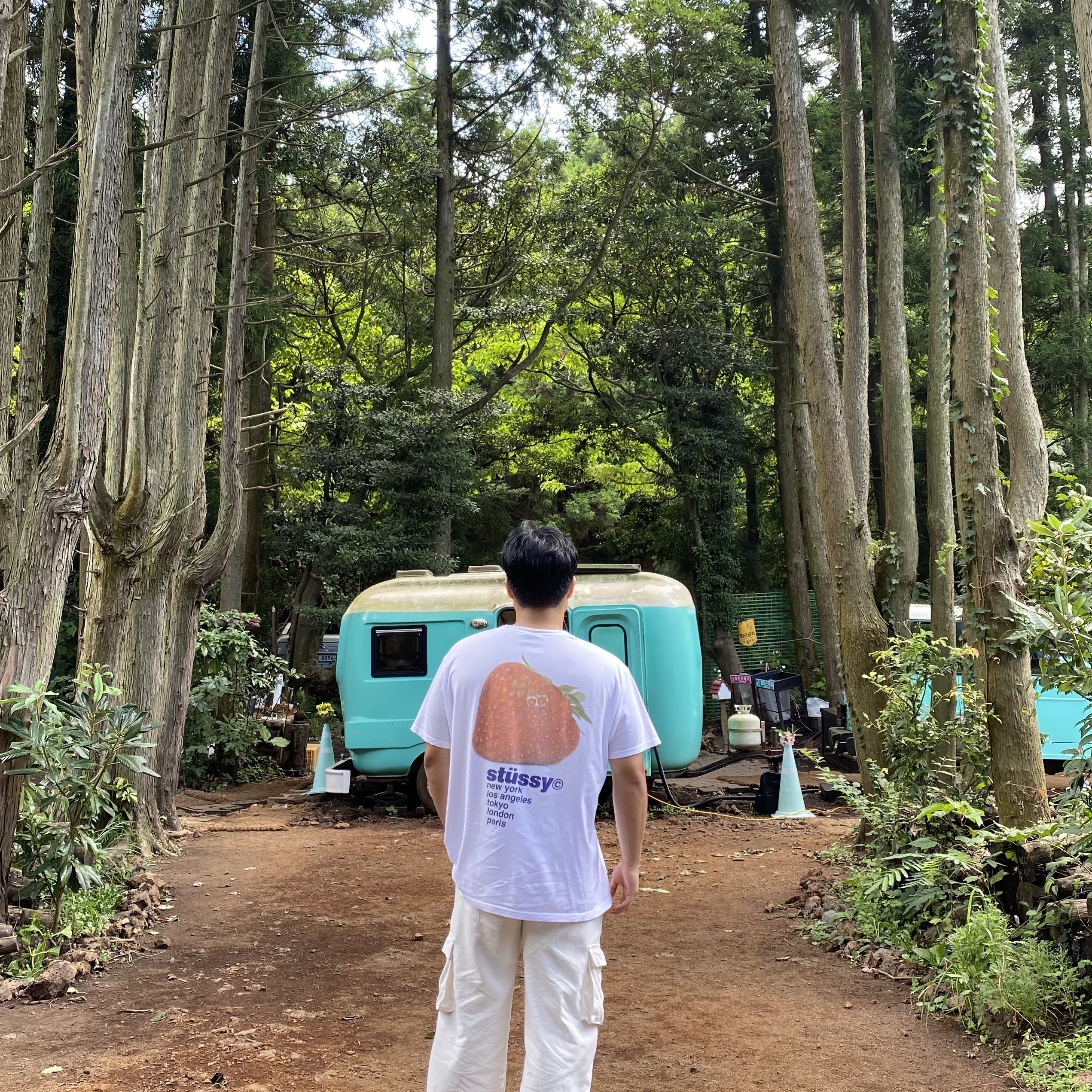 Stussy Strawberry T-Shirt White 착용 스타일