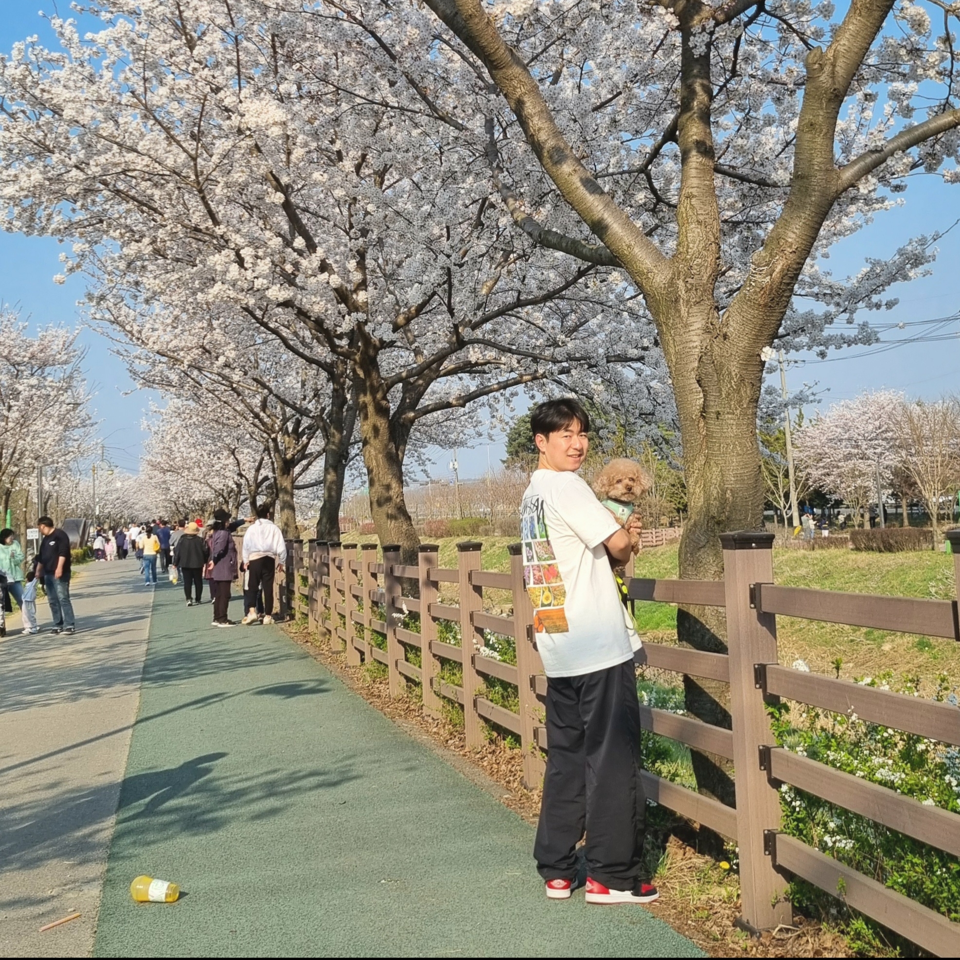 Stussy Flower Grid Pigment Dyed T-Shirt Natural, Jordan 1 Low Bred Toe 착용 스타일