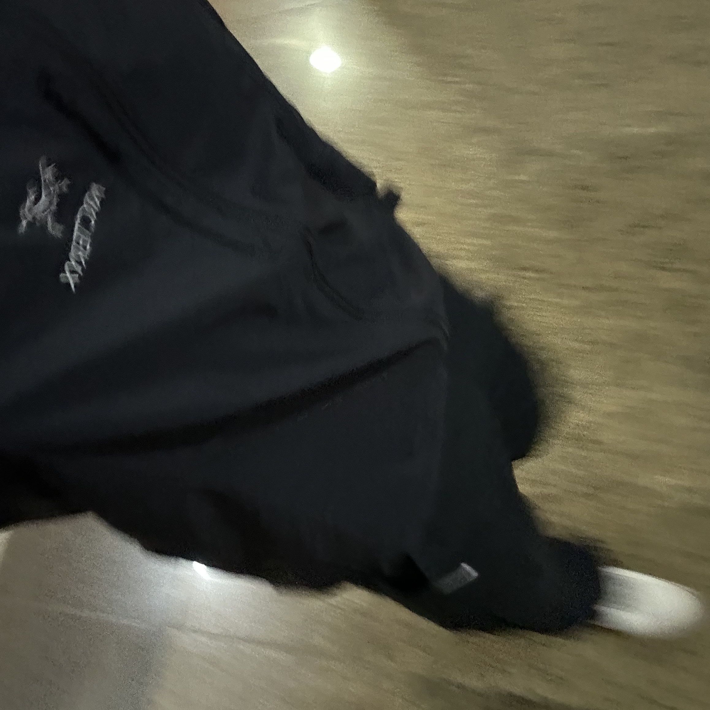 Arc'teryx Squamish Hoody Black 착용 스타일