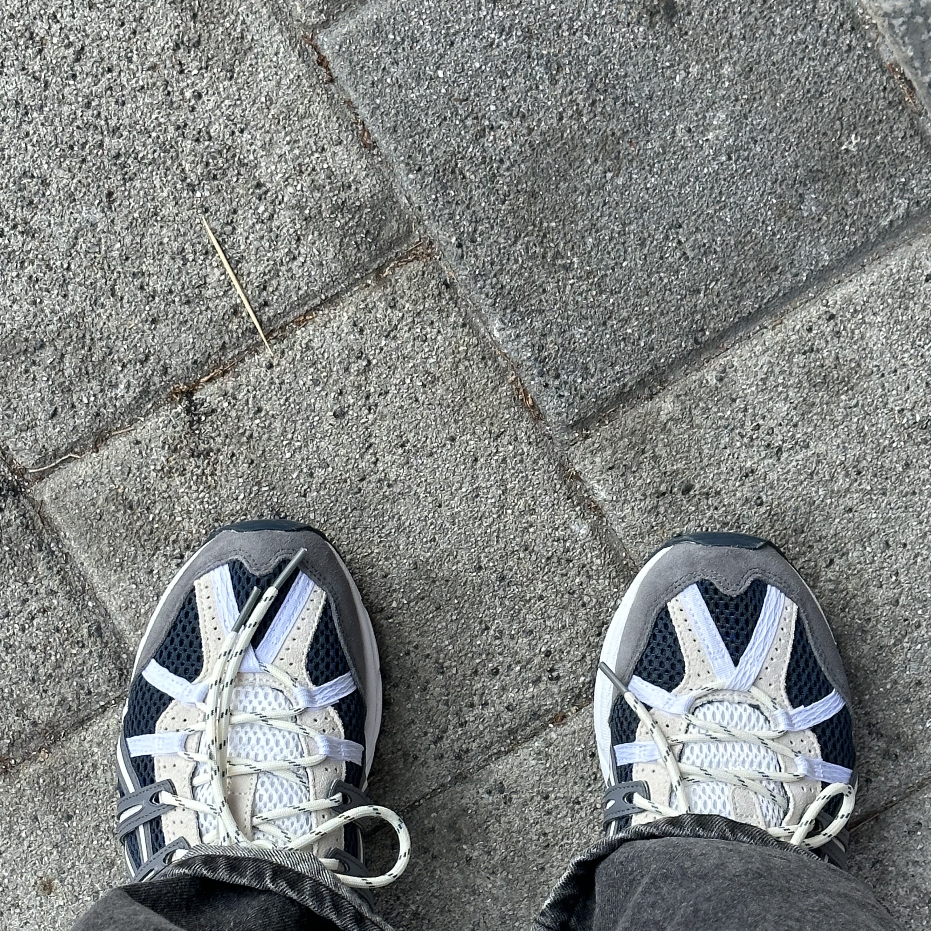 Asics Gel-Sonoma 15-50 French Blue 착용 스타일