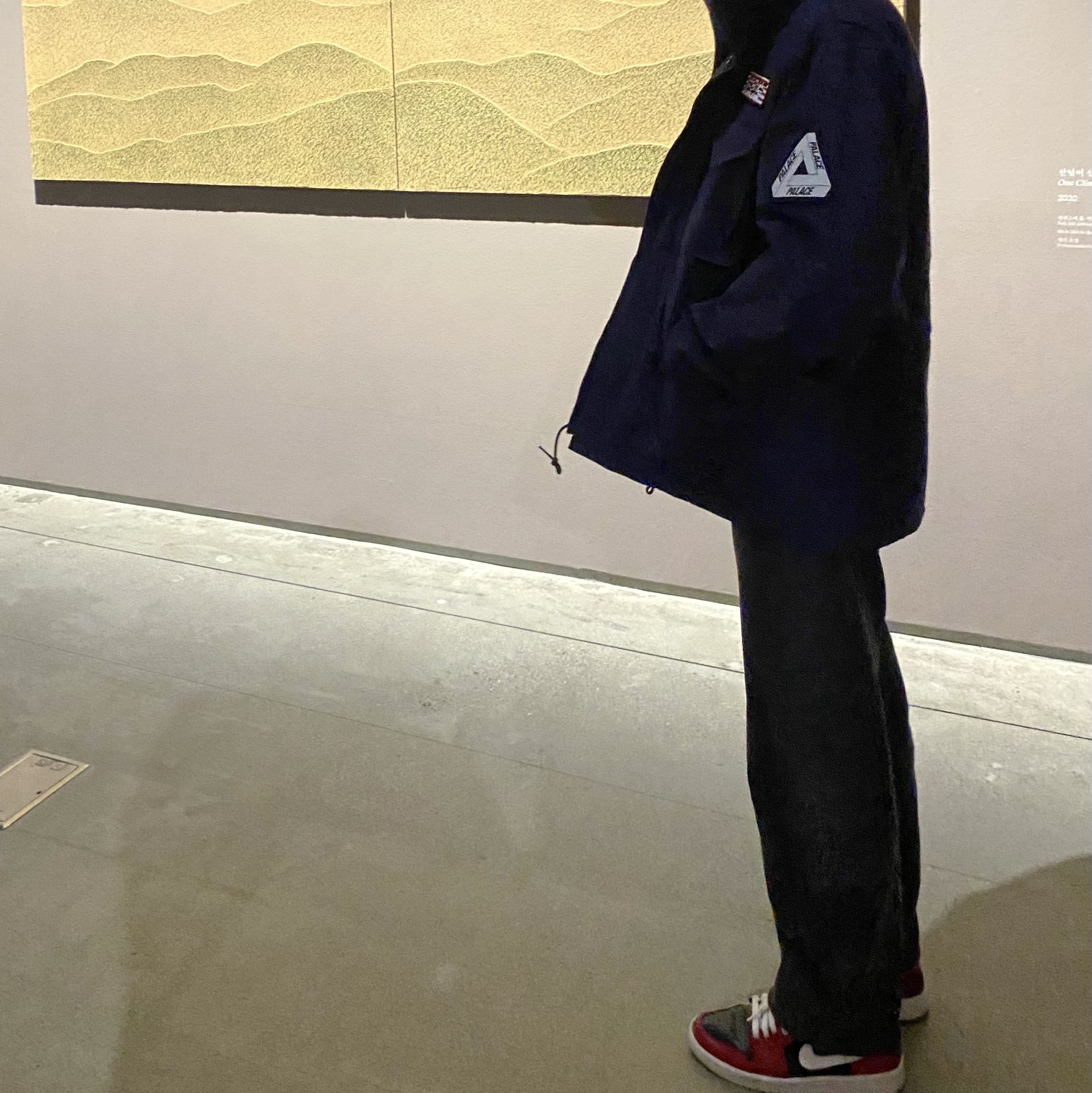 Palace P-65 Jacket Blue - 22SS, (W) Jordan 1 Low Chicago Flip 착용 스타일