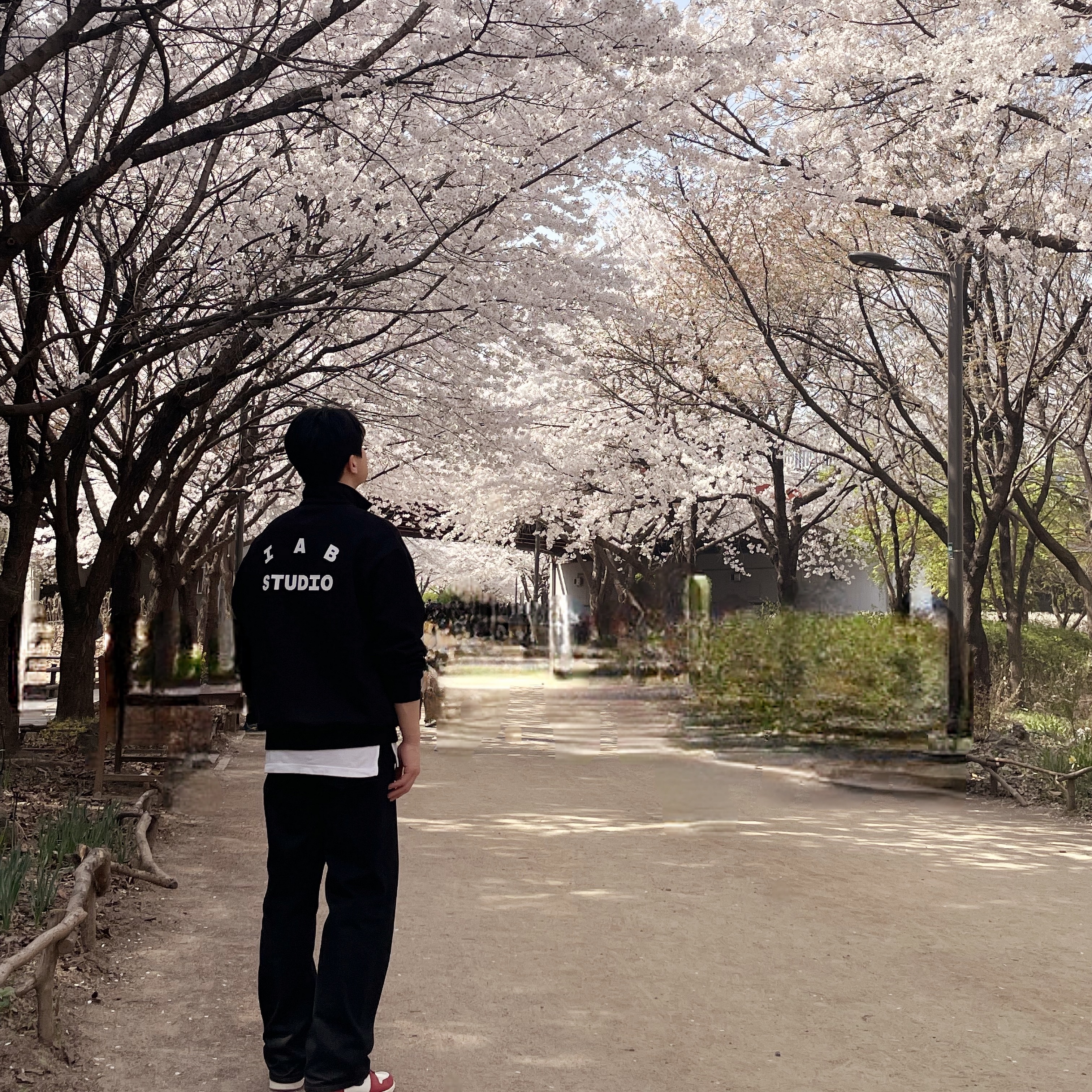 IAB Studio Half Zip-Up Black White, Jordan 1 Retro High OG Chicago 2022 착용 스타일
