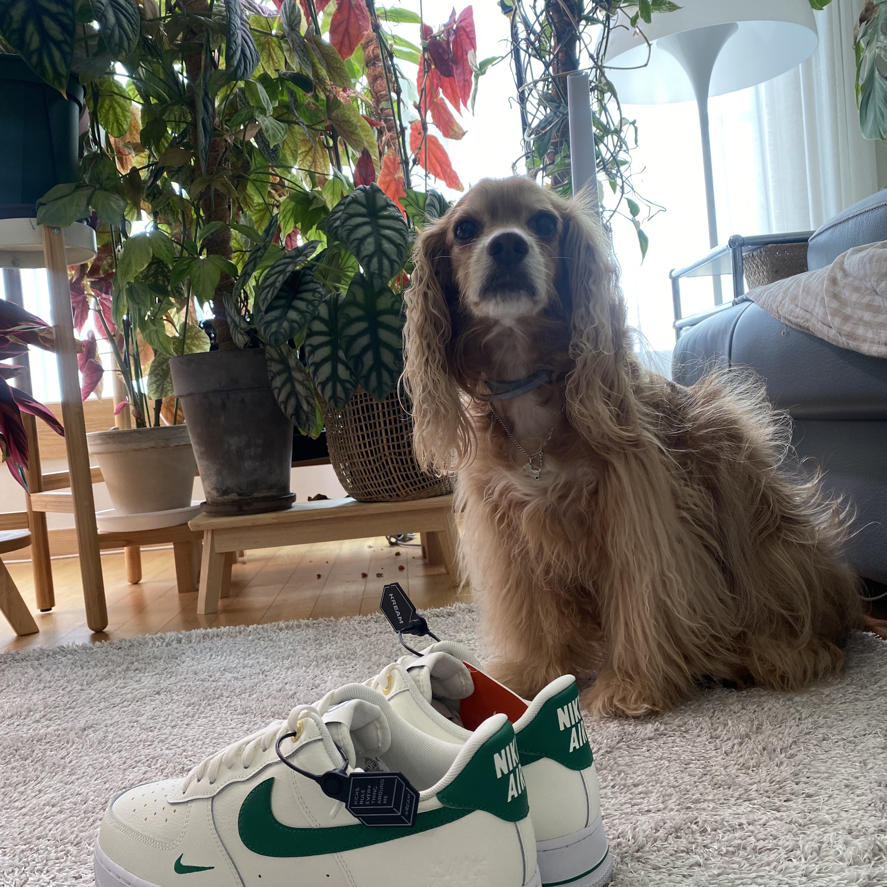 Nike Air Force 1 '07 LV8 40th Anniversary Join Forces Sail Malachite 착용 스타일 - 2