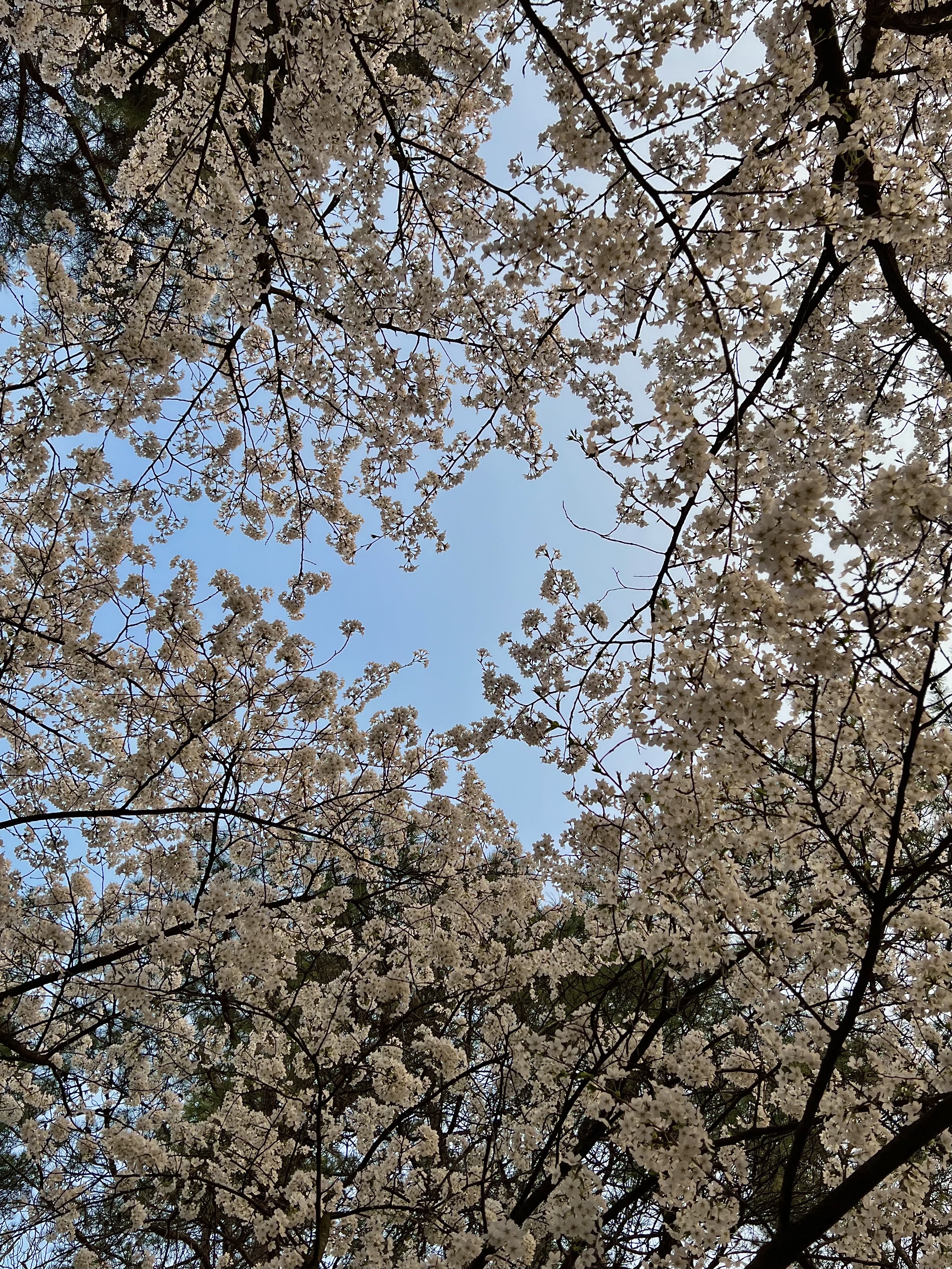 insta: guo_07e8님의 스타일 - 3