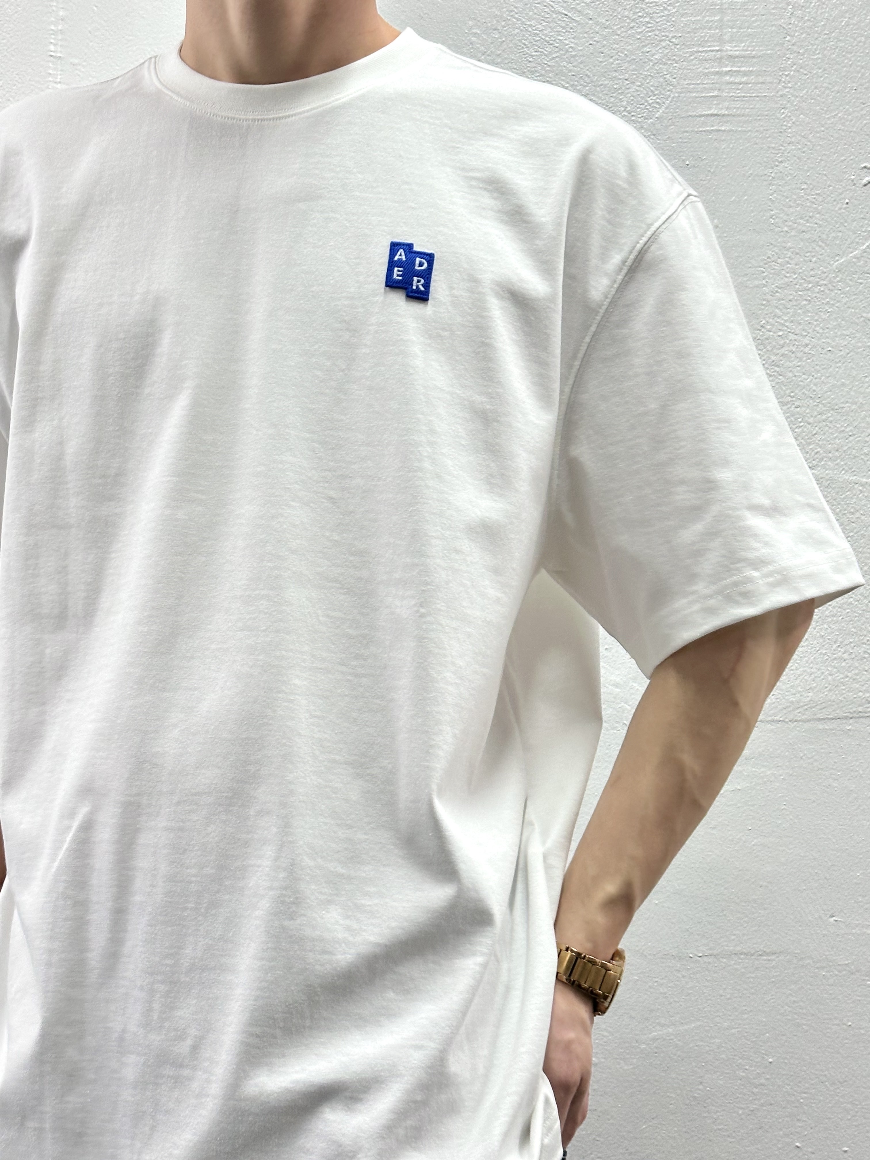 Ader Error Sig; TRS/BL Tag T-Shirt 01 Off White 착용 스타일