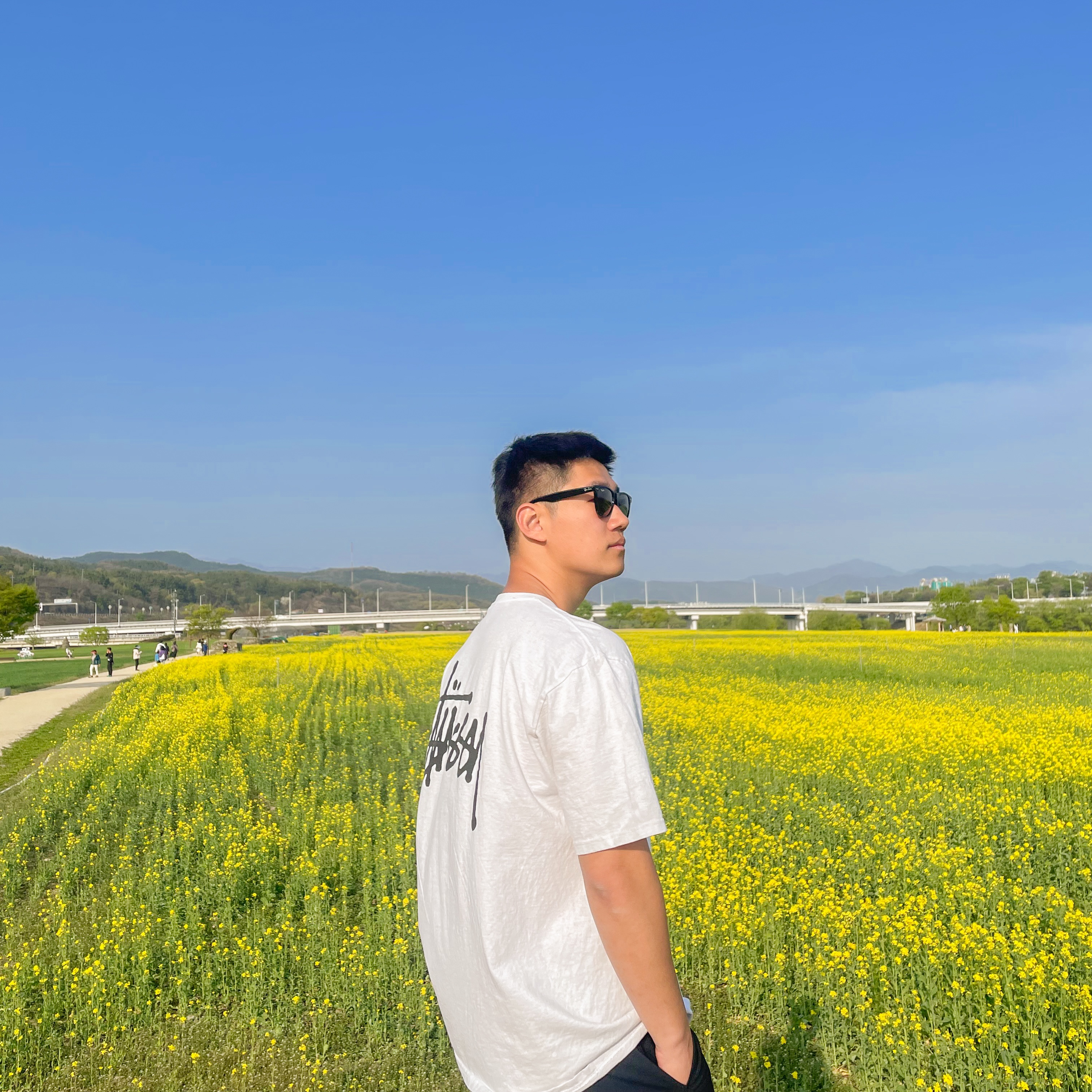 Stussy Basic Stussy T-Shirt White 2023, Ray-Ban Original Wayfarer Classic Polished Black Frame Green Classic G-15 Lenses Low Bridge Fit 착용 스타일 - 2