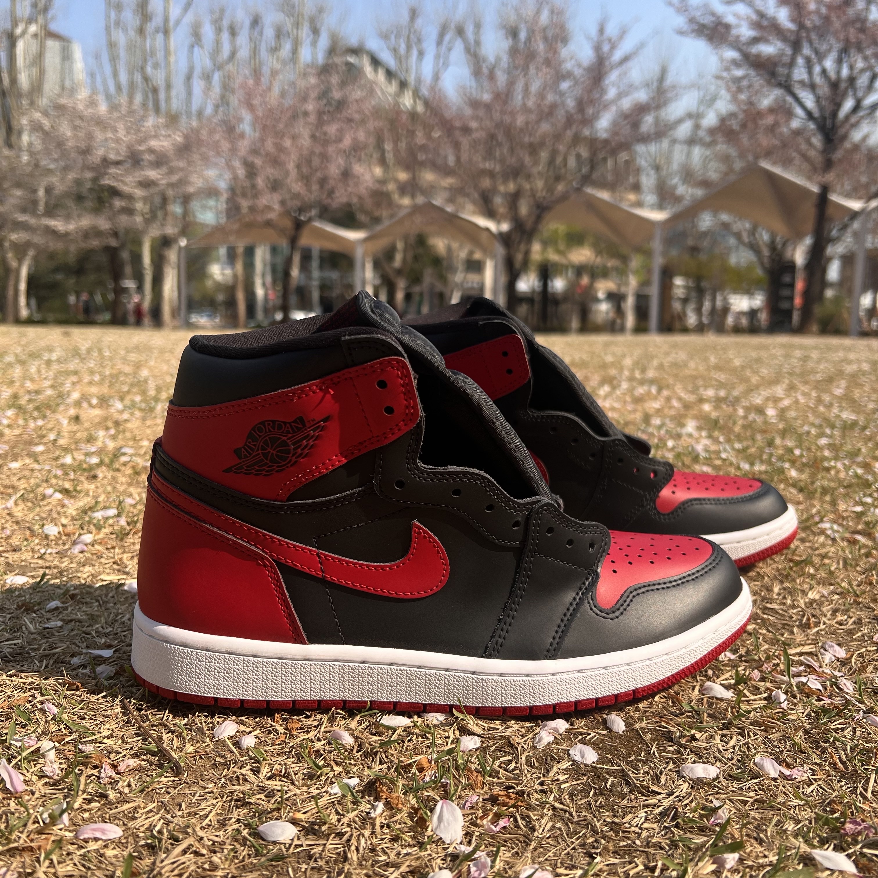 Jordan 1 Retro High OG Patent Bred 착용 스타일 - 2