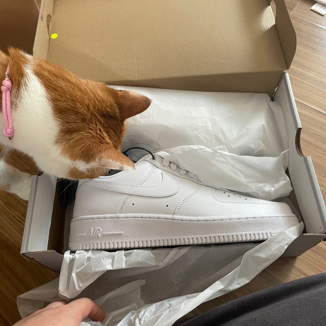 Nike Air Force 1 '07 Low White 착용 스타일 - 1