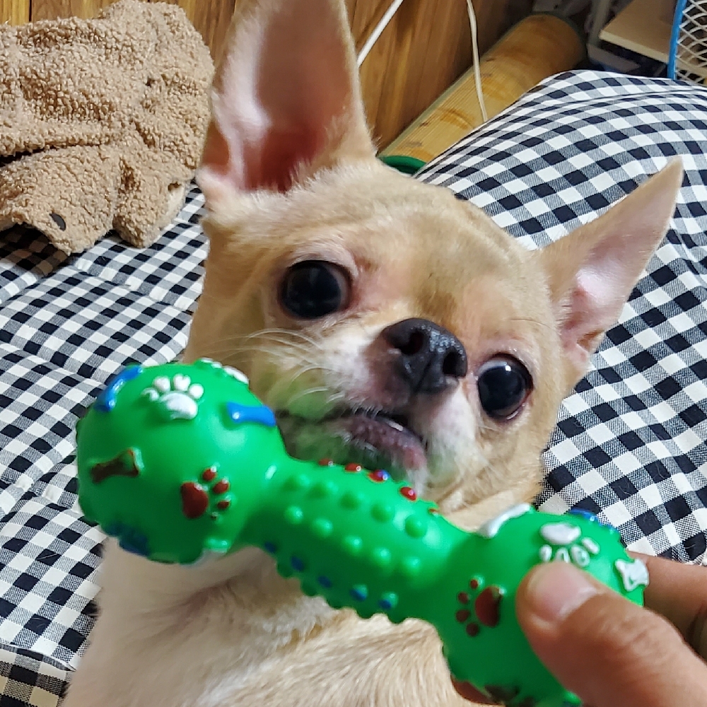 관심 유저 프로필 이미지