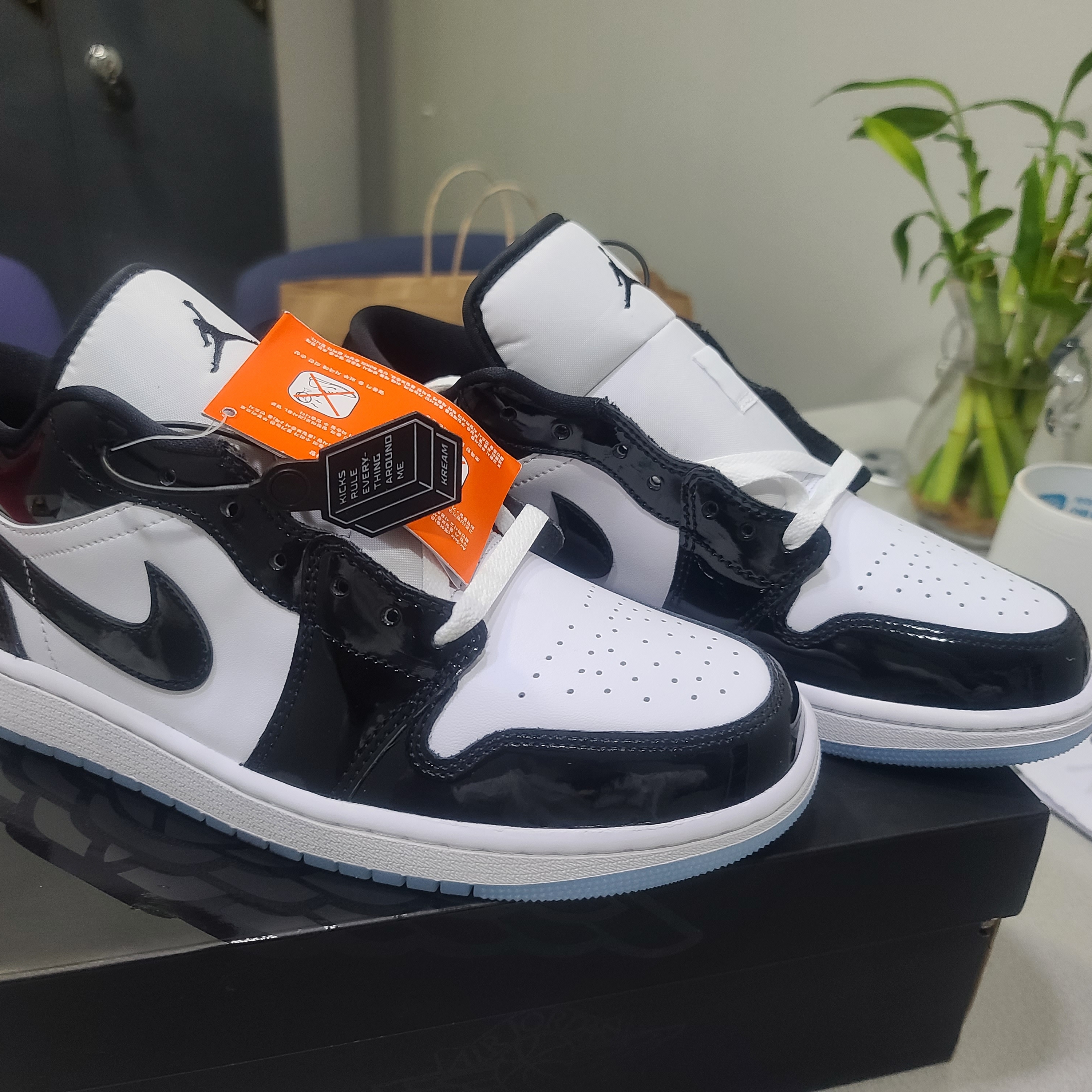 Jordan 1 Low SE Concord 착용 스타일