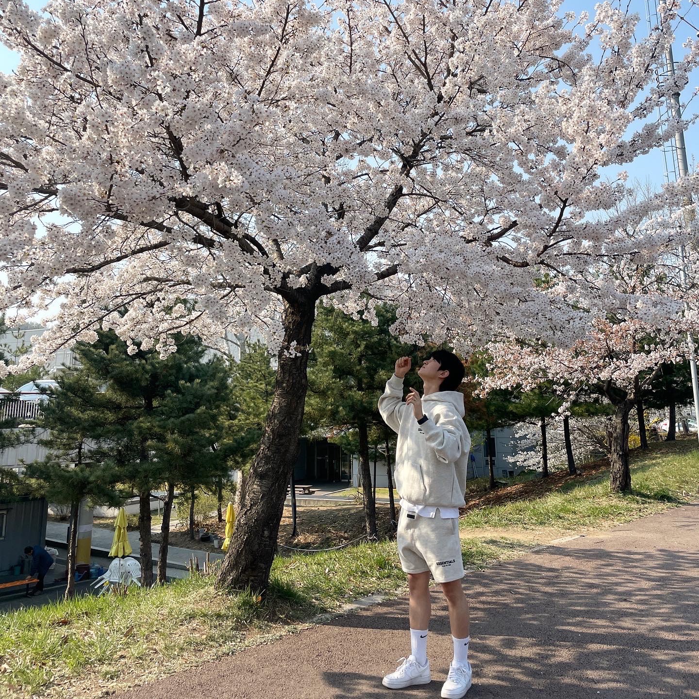 Essentials The Core Collection Hoodie Light Oatmeal, Essentials The Core Collection Sweatshorts Light Oatmeal 착용 스타일