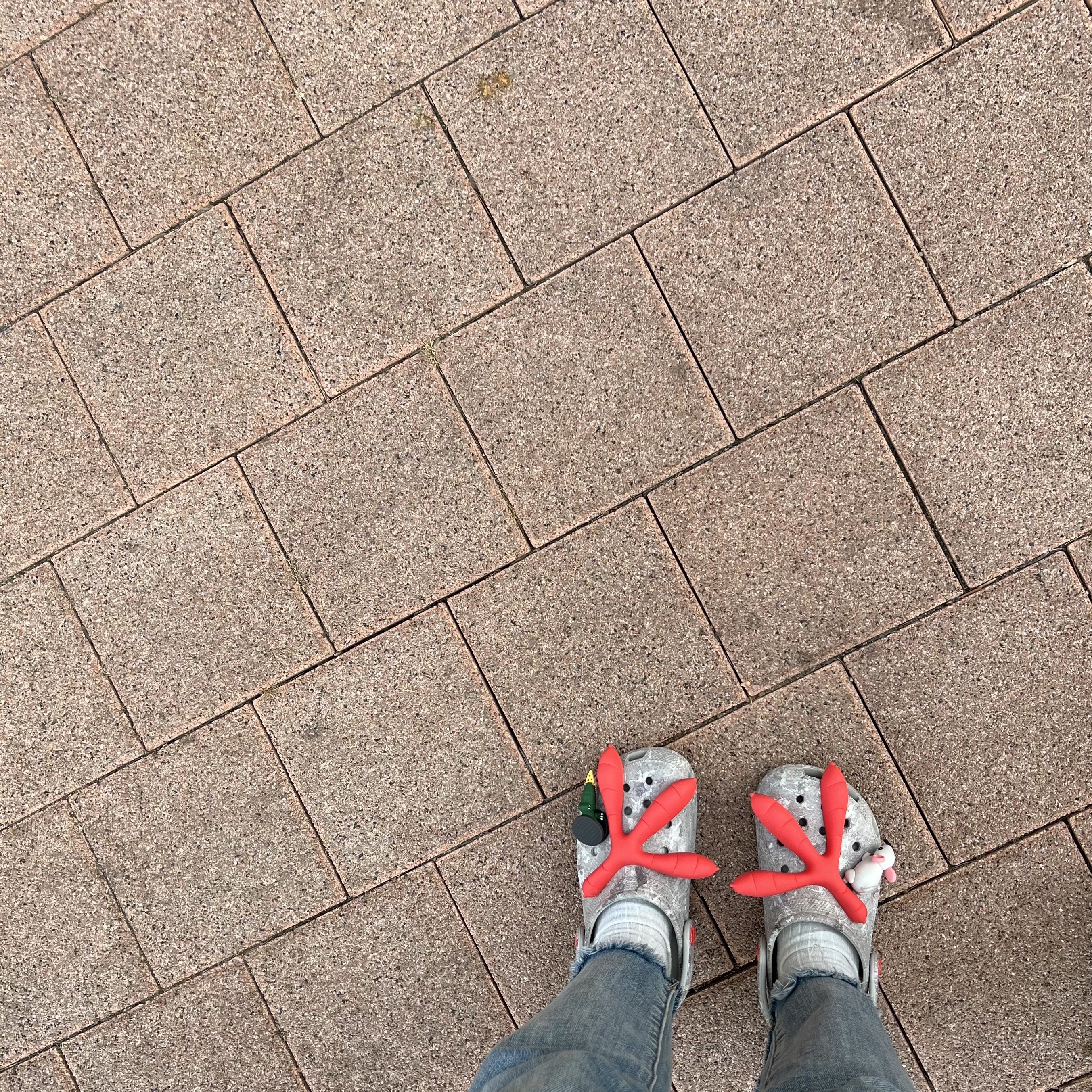 Crocs x Staple Classic Clog Grey Red 착용 스타일