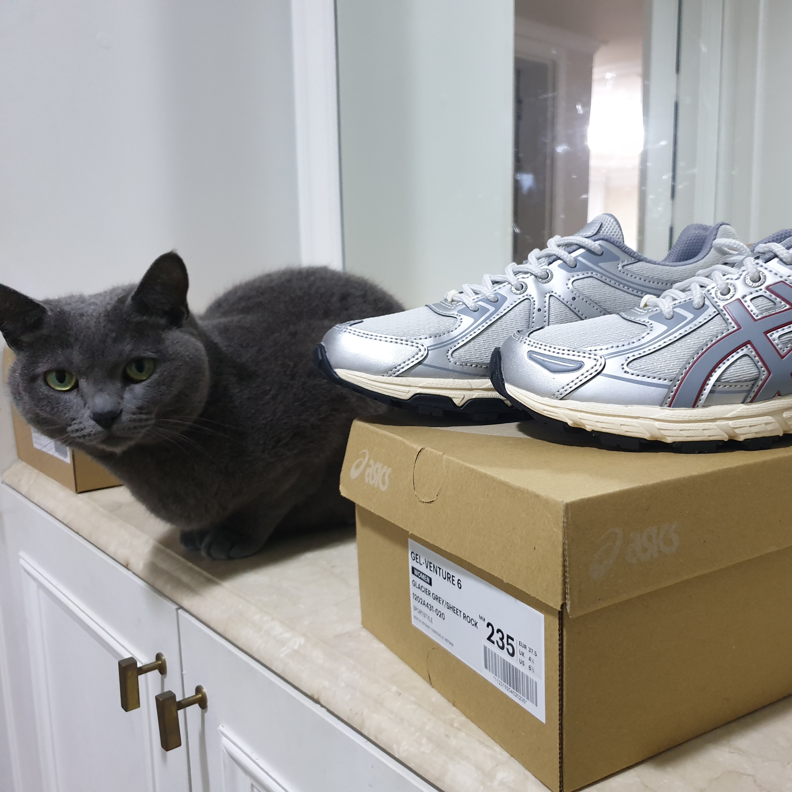 (W) Asics Gel-Venture 6 Glacier Grey Sheet Rock 착용 스타일
